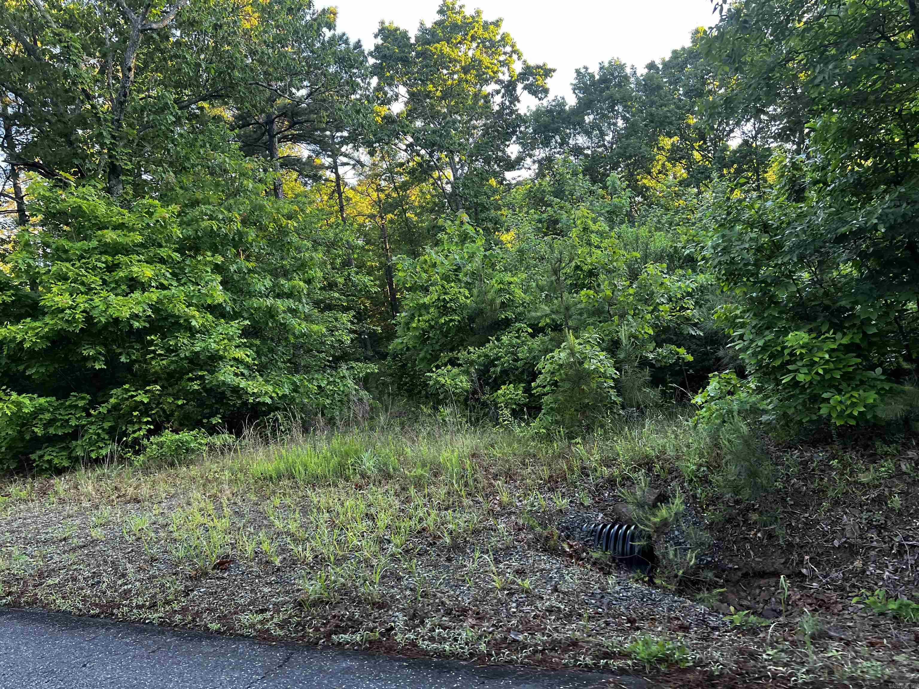 00  Good Springs Rd  Heber Springs, AR