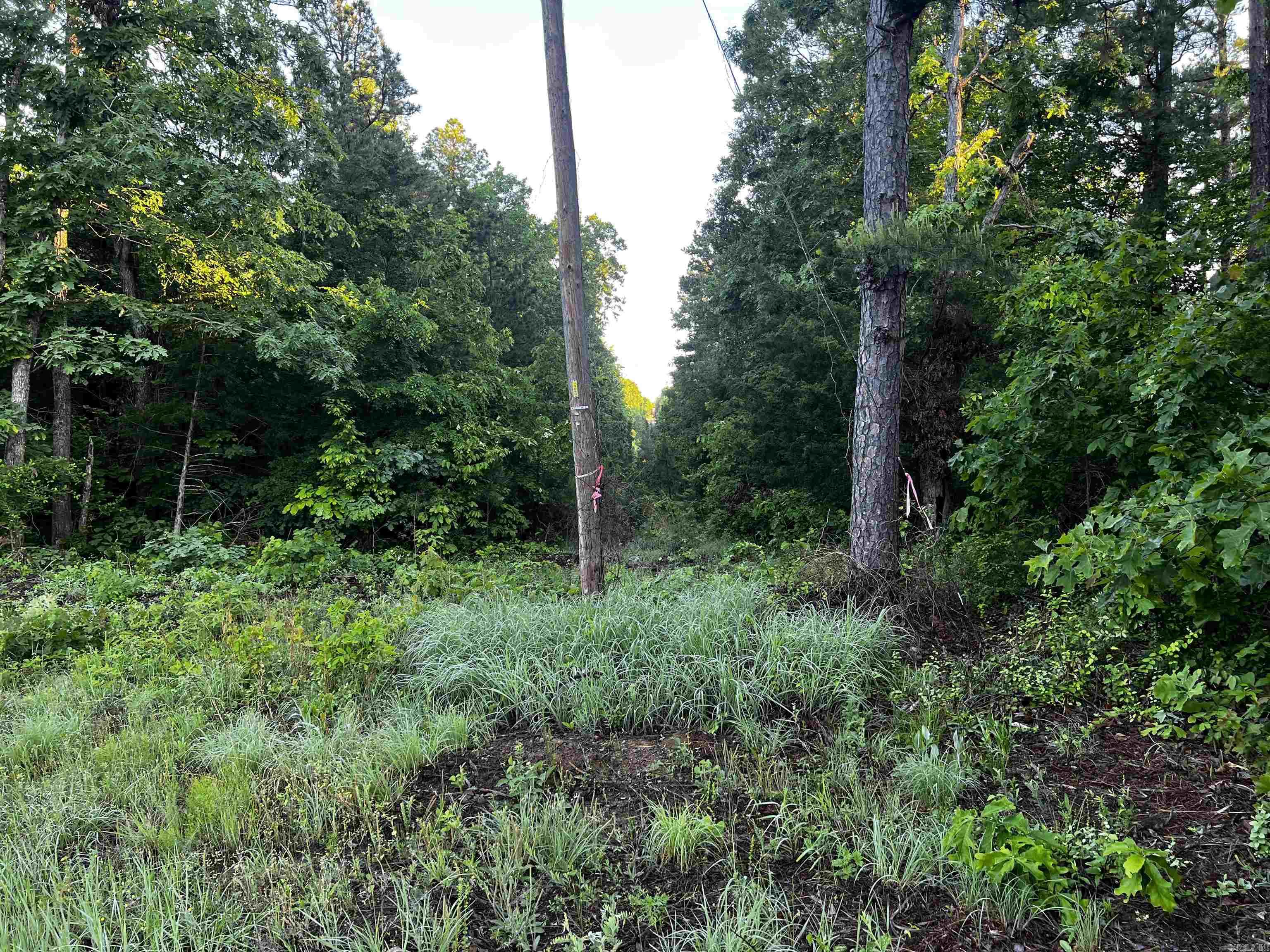 00  Good Springs Rd  Heber Springs, AR