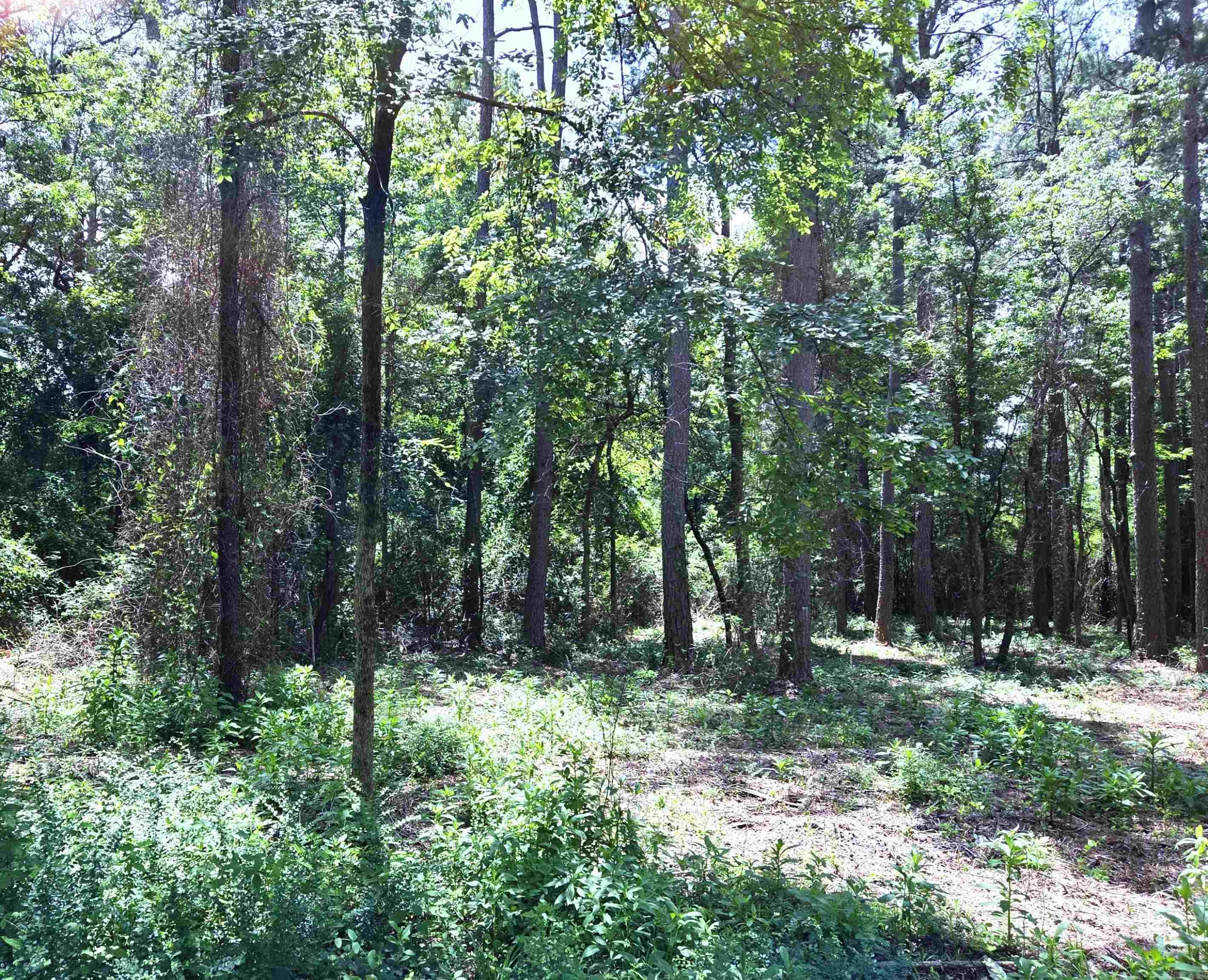 Unknown Missouri  Mena, AR