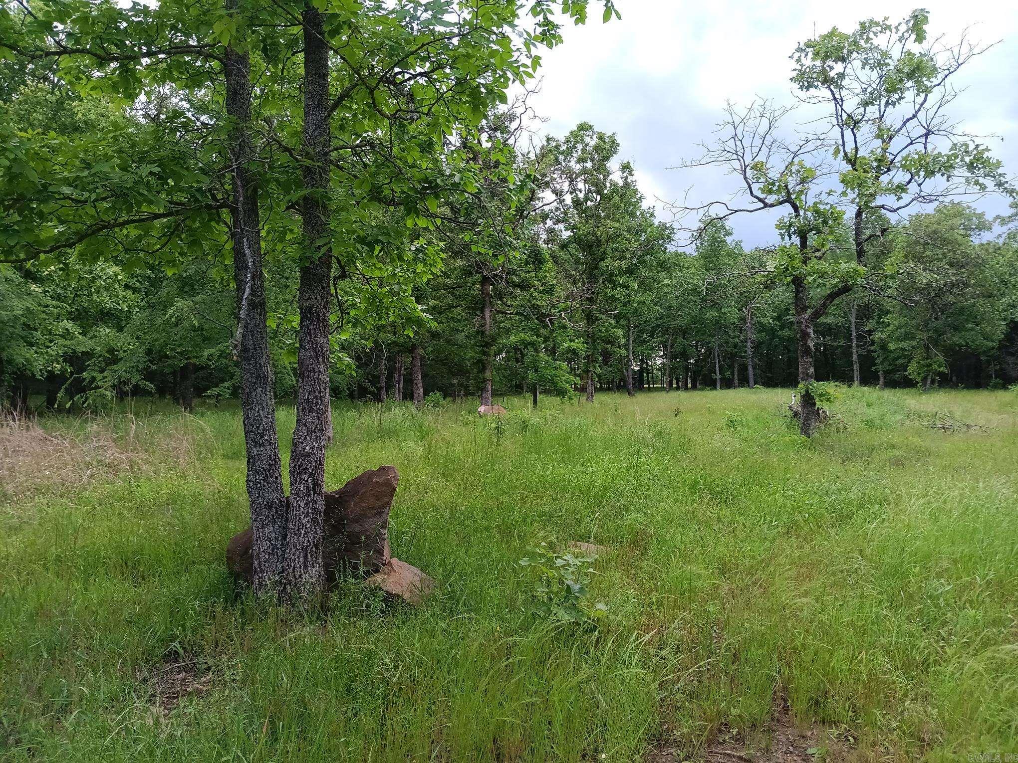 409  Russell Mountain  Bald Knob, AR