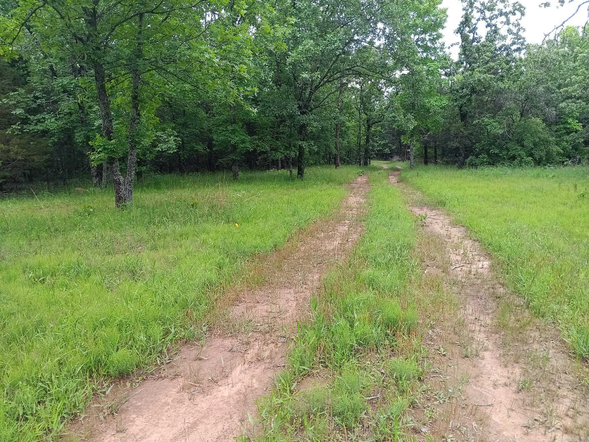 409  Russell Mountain  Bald Knob, AR