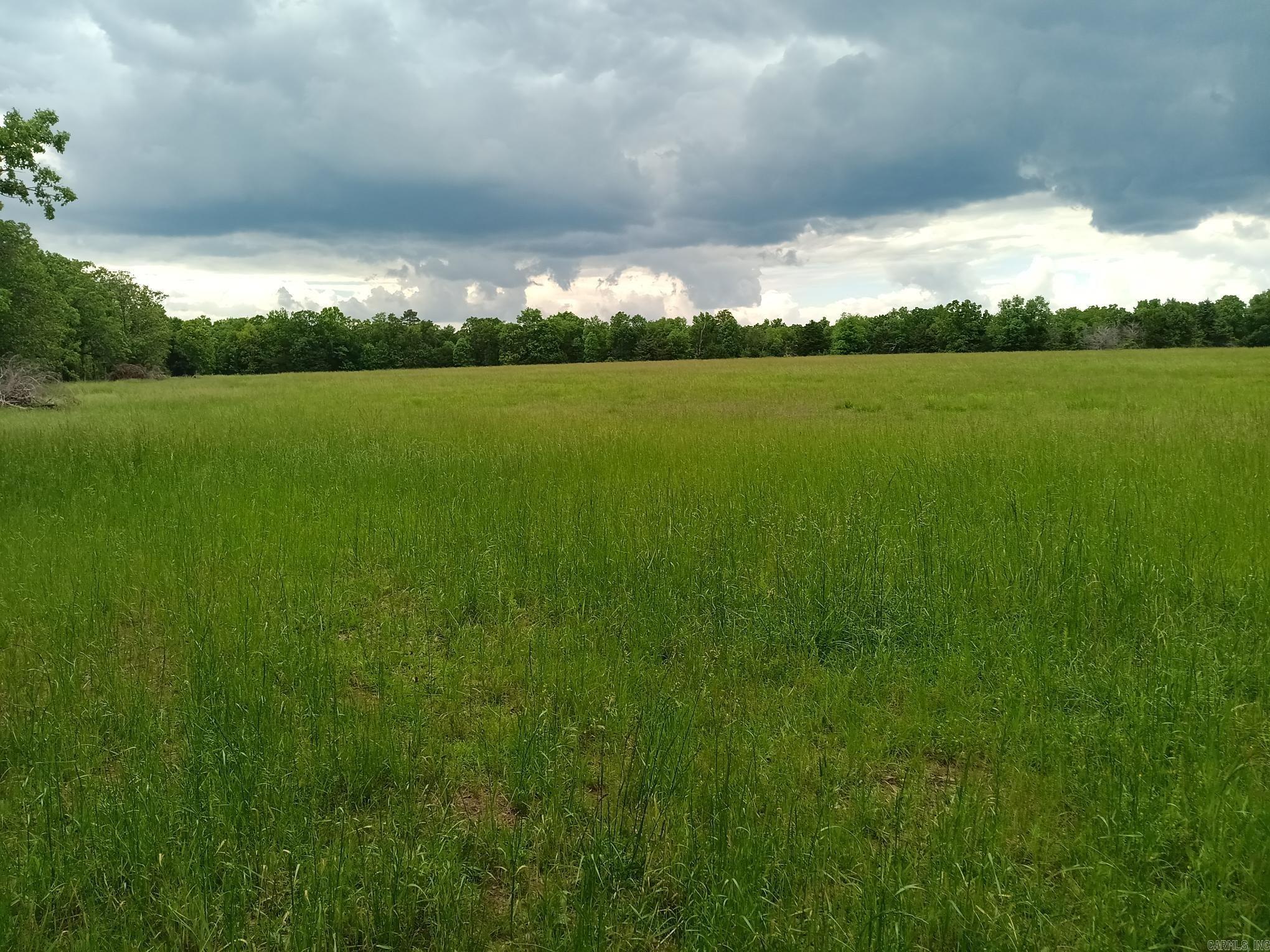 409  Russell Mountain  Bald Knob, AR