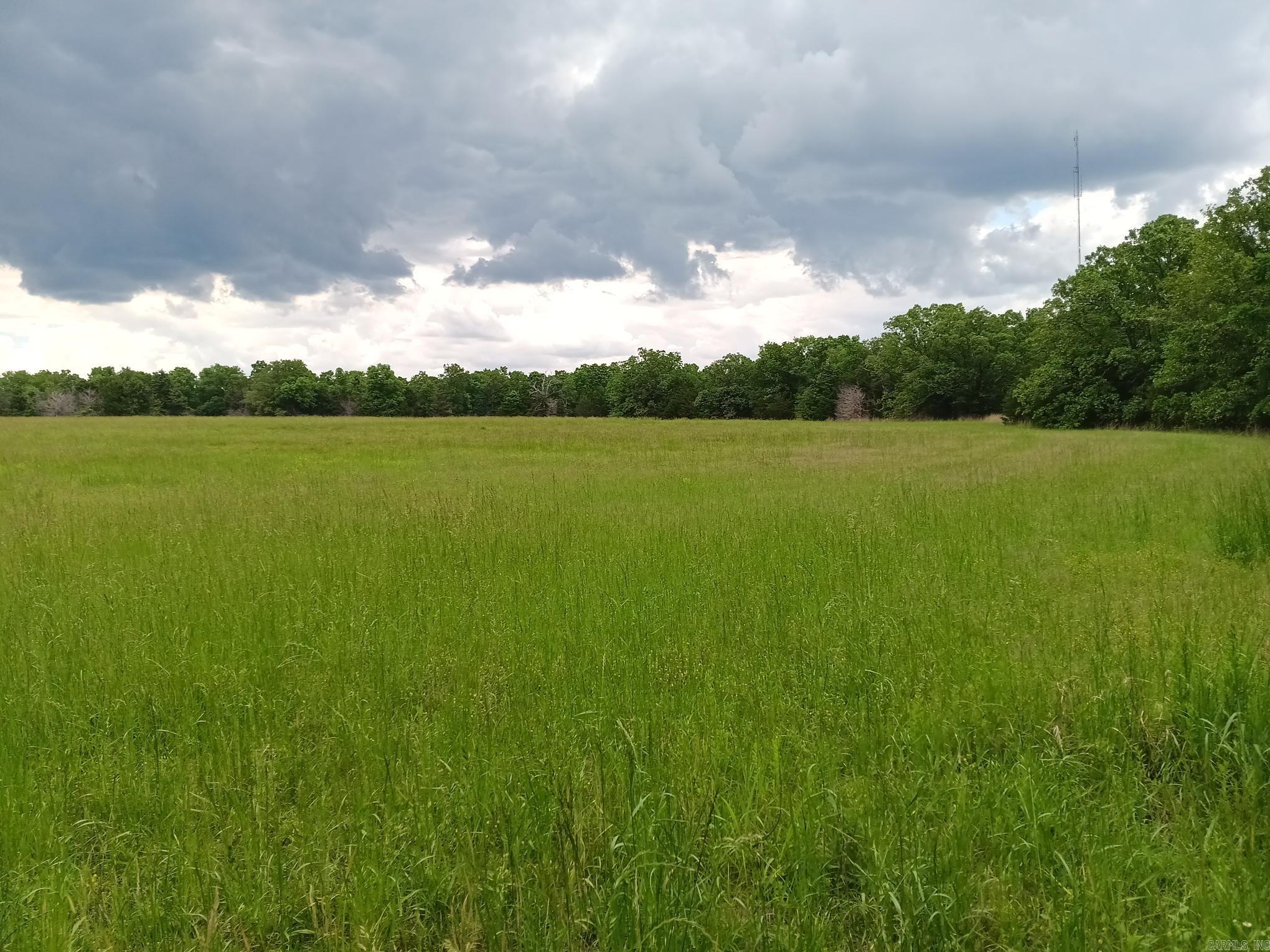 409  Russell Mountain  Bald Knob, AR