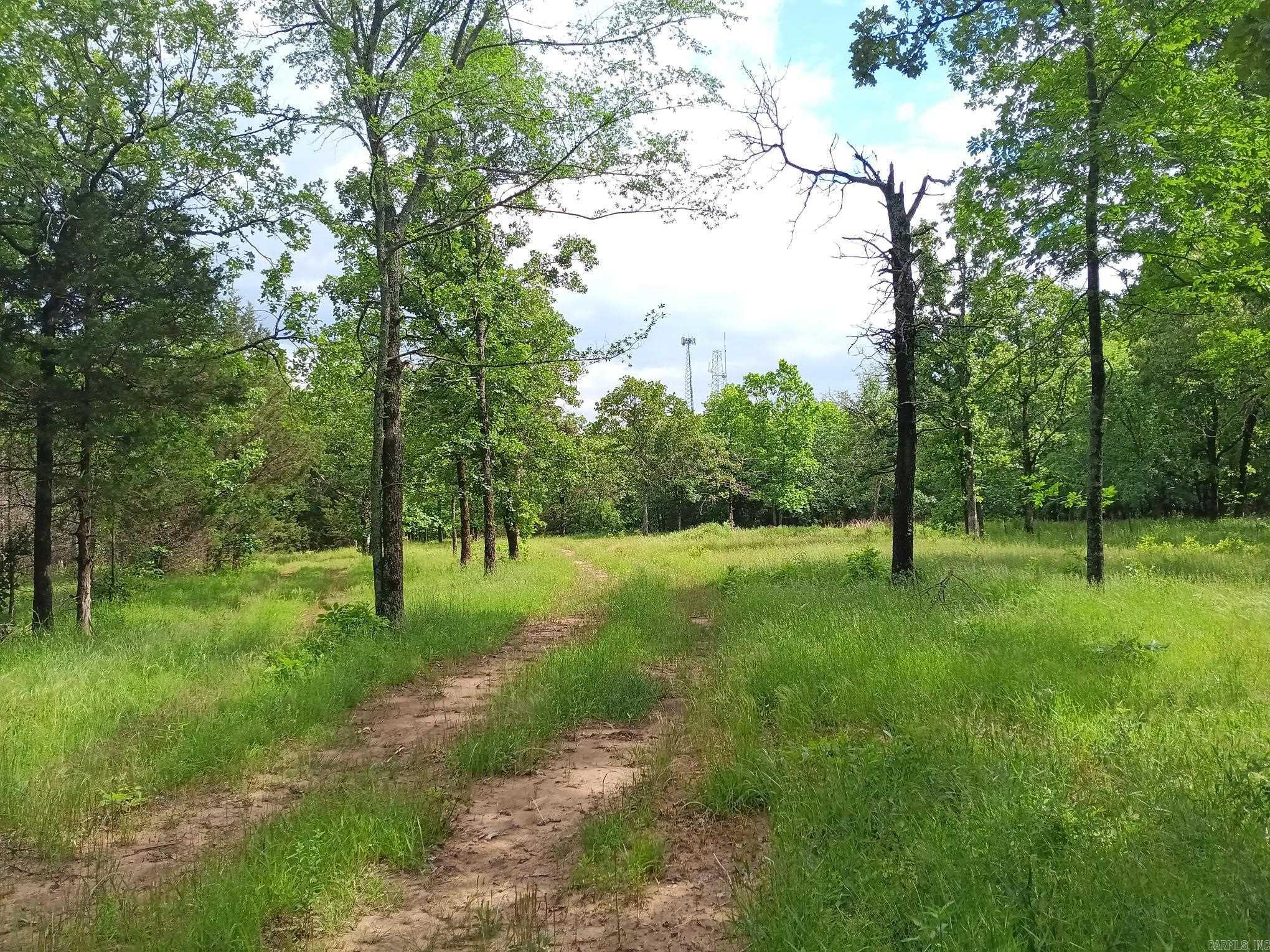 409  Russell Mountain  Bald Knob, AR