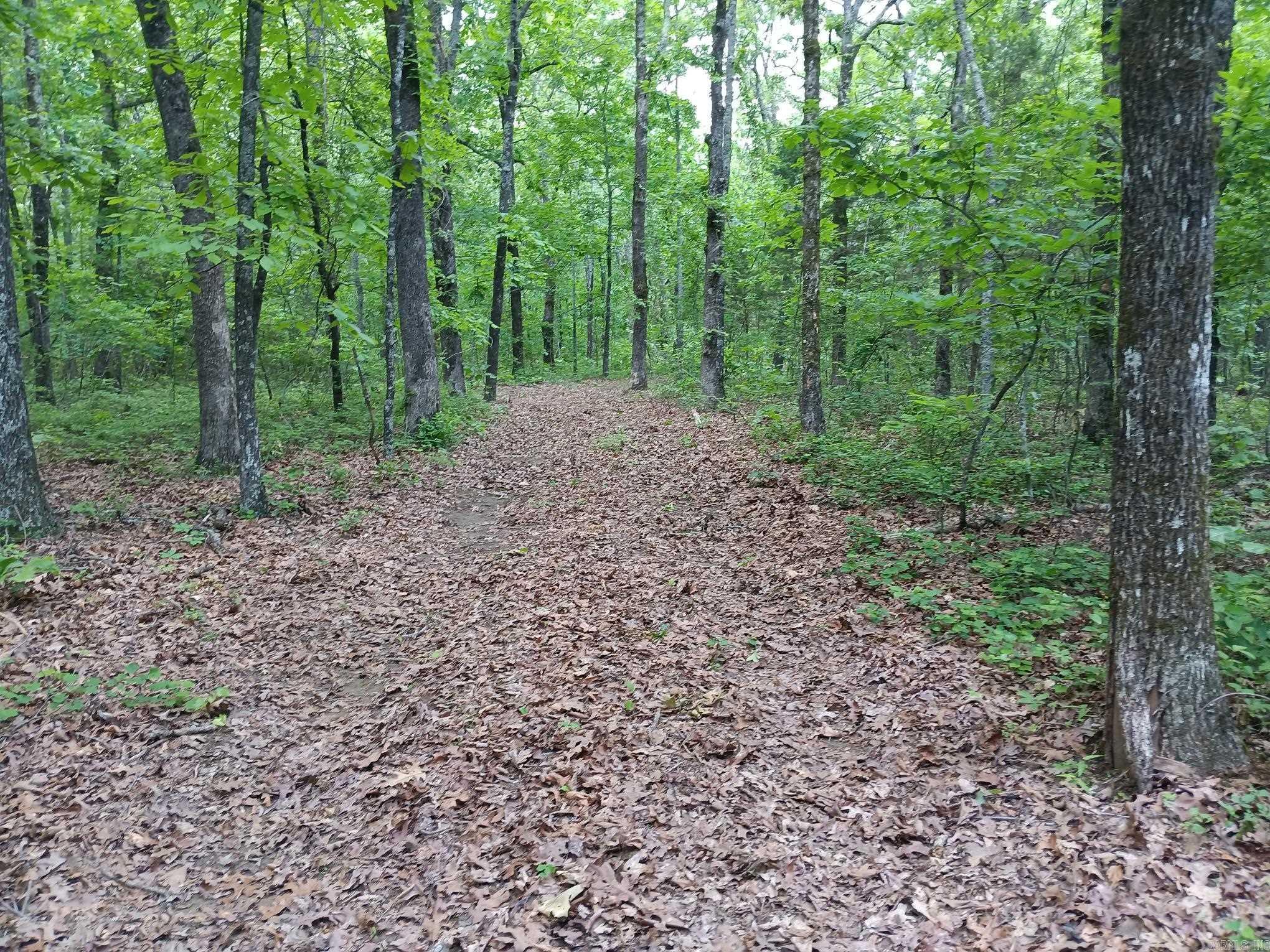409  Russell Mountain  Bald Knob, AR