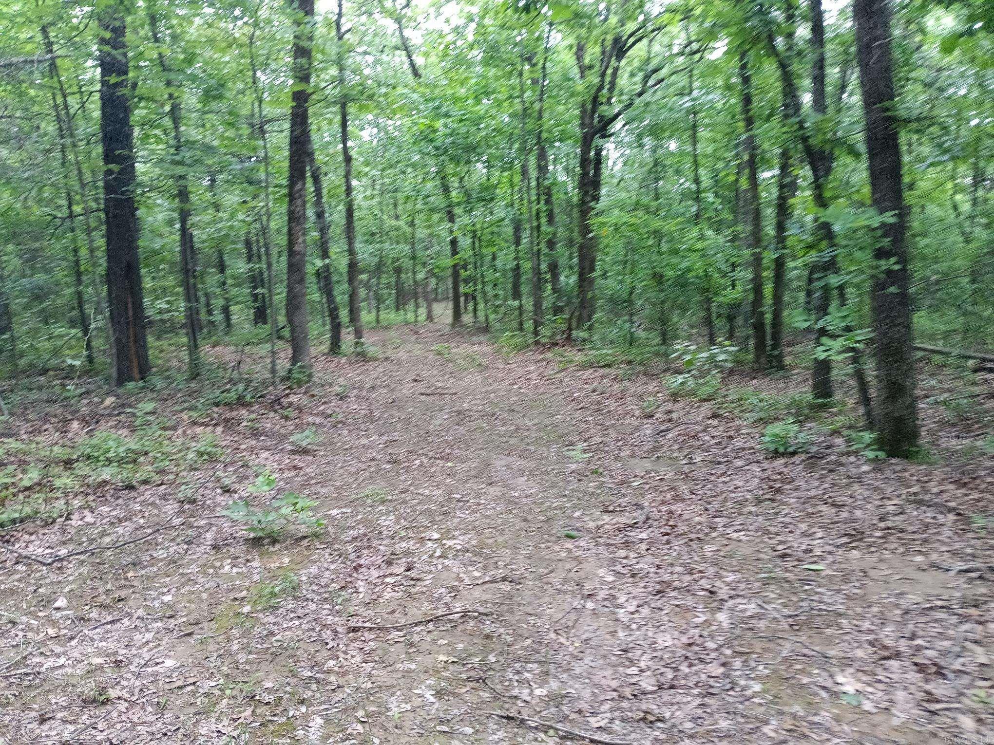 409  Russell Mountain  Bald Knob, AR