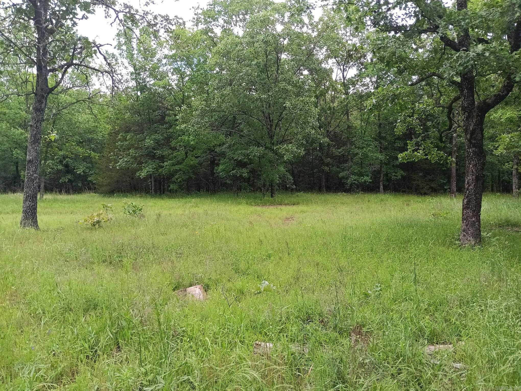 409  Russell Mountain  Bald Knob, AR