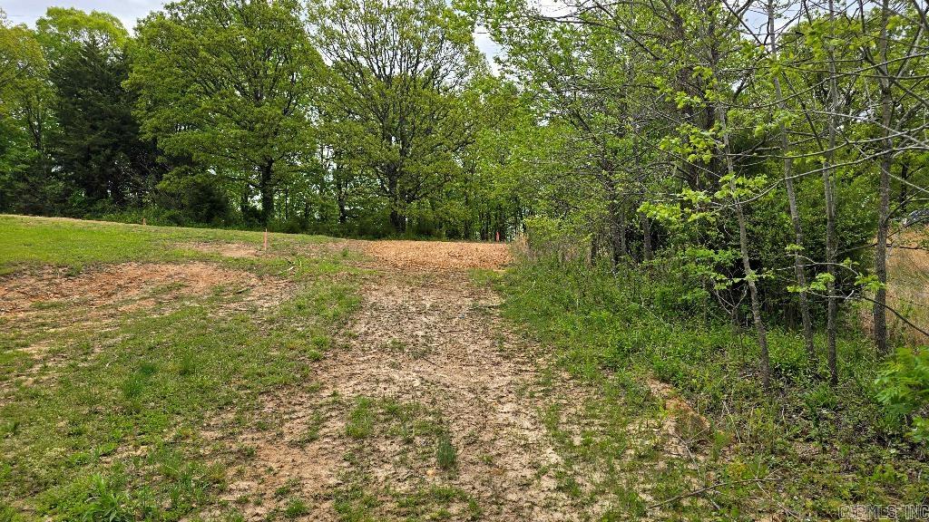 20962  Distress Creek  Harrisburg, AR