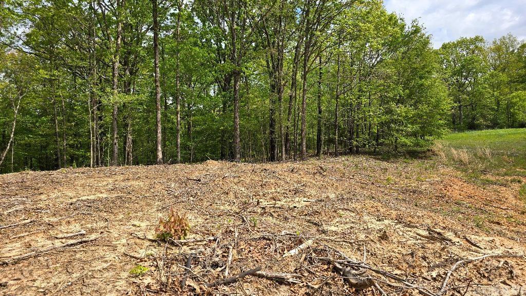 20962  Distress Creek  Harrisburg, AR