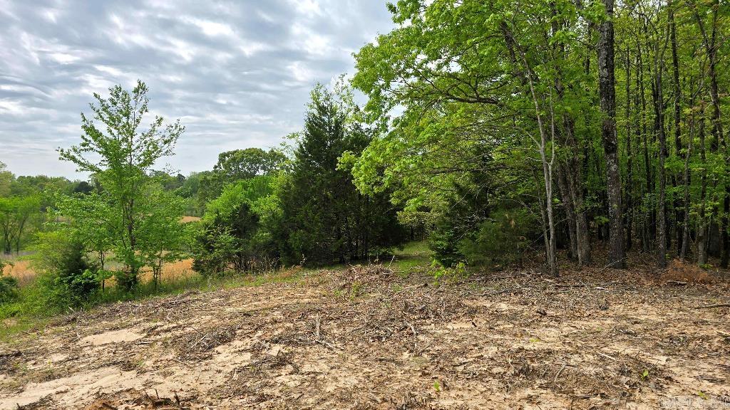 20962  Distress Creek  Harrisburg, AR