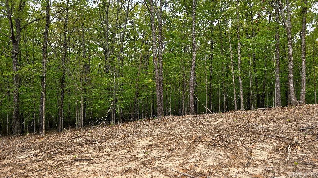 20962  Distress Creek  Harrisburg, AR