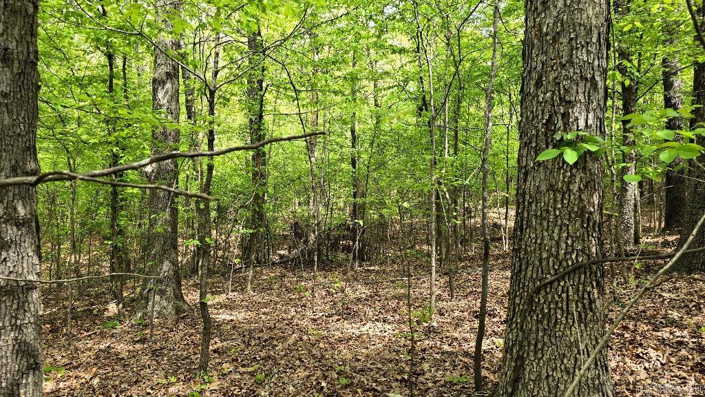 20962  Distress Creek  Harrisburg, AR