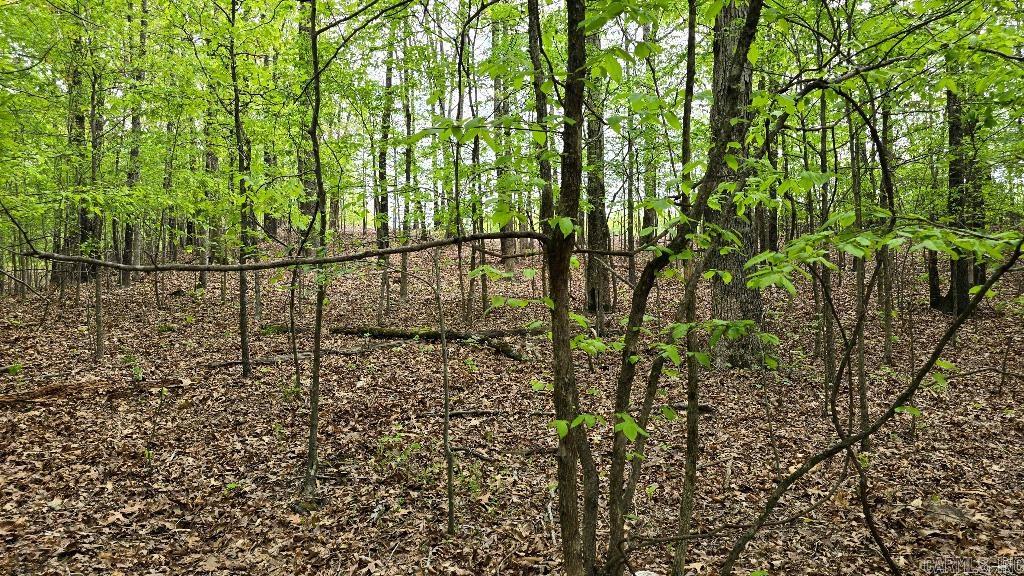 20962  Distress Creek  Harrisburg, AR