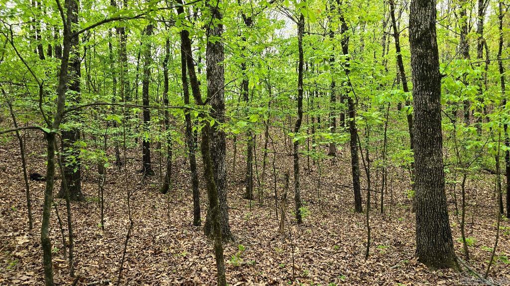20962  Distress Creek  Harrisburg, AR