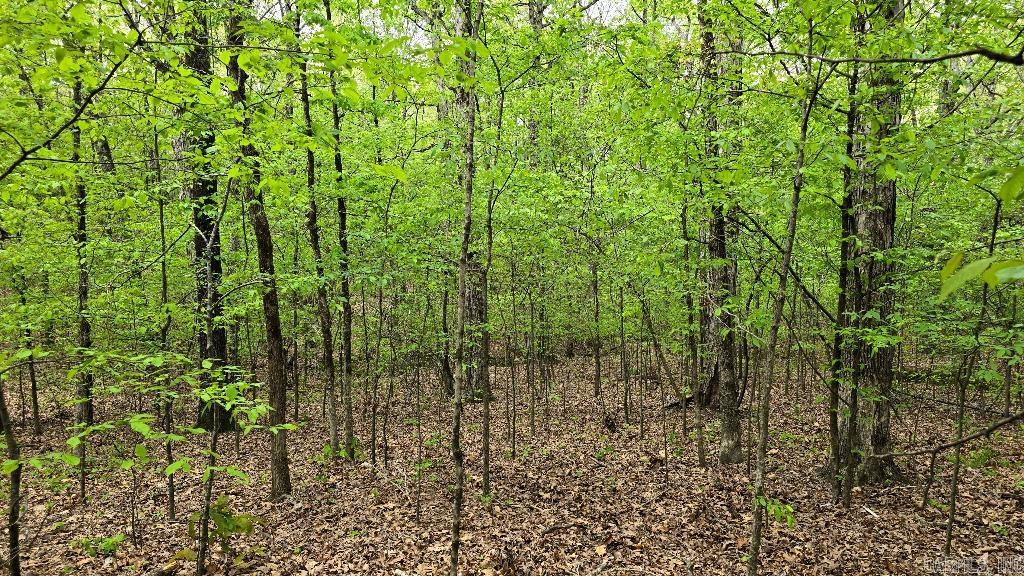 20962  Distress Creek  Harrisburg, AR
