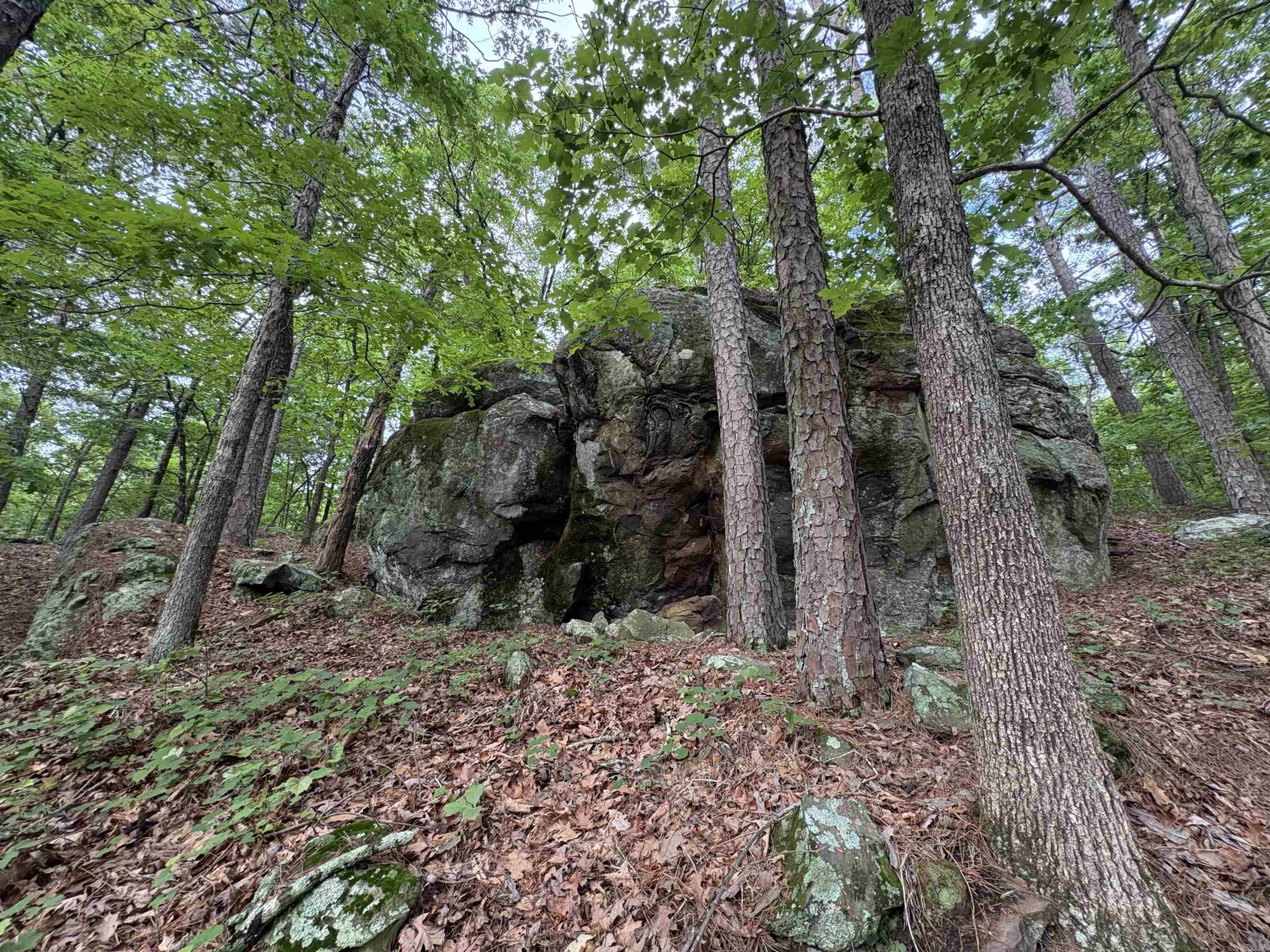 222  Ernie Woods Rd.  Rose Bud, AR