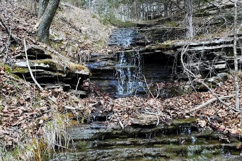 222  Ernie Woods Rd.  Rose Bud, AR