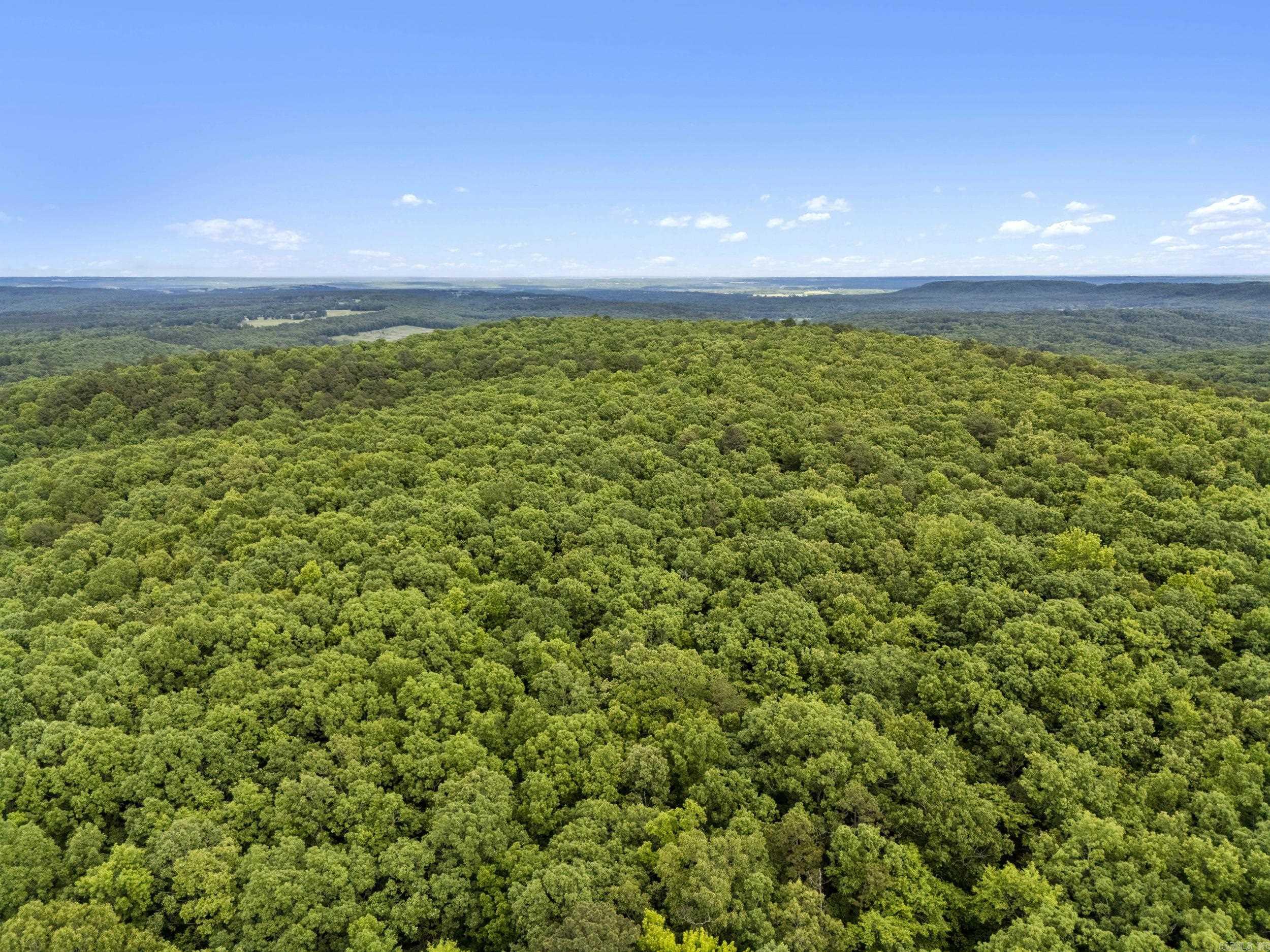 222  Ernie Woods Rd.  Rose Bud, AR