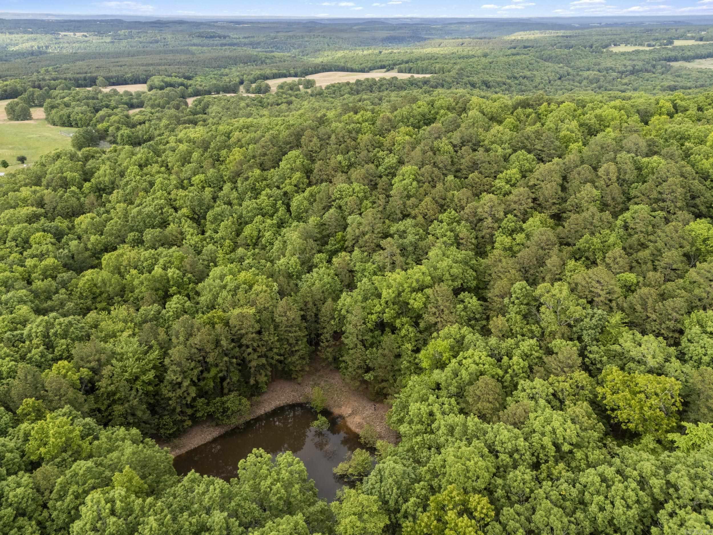 222  Ernie Woods Rd.  Rose Bud, AR