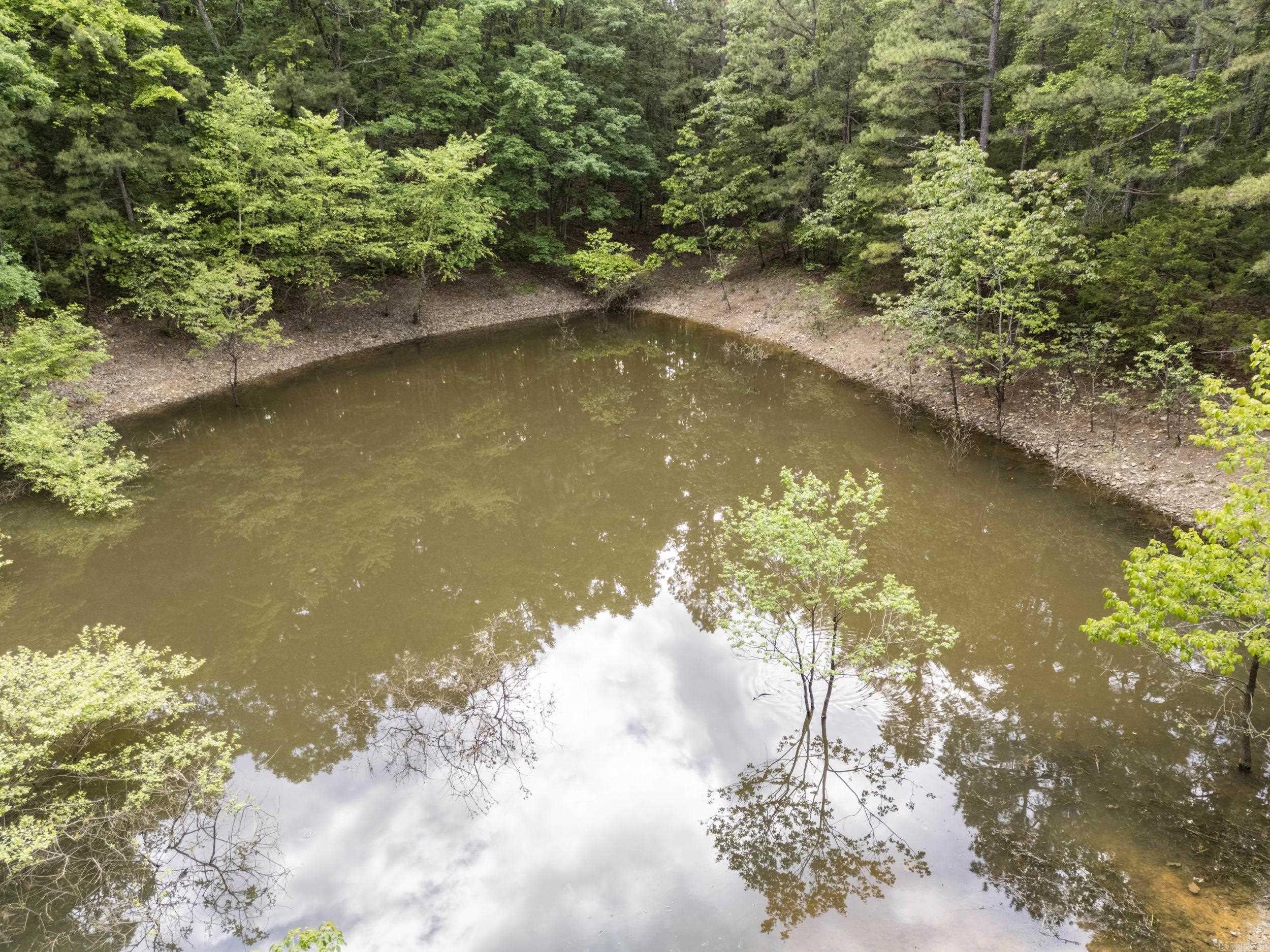 222  Ernie Woods Rd.  Rose Bud, AR