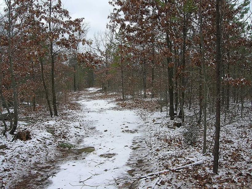 222  Ernie Woods Rd.  Rose Bud, AR
