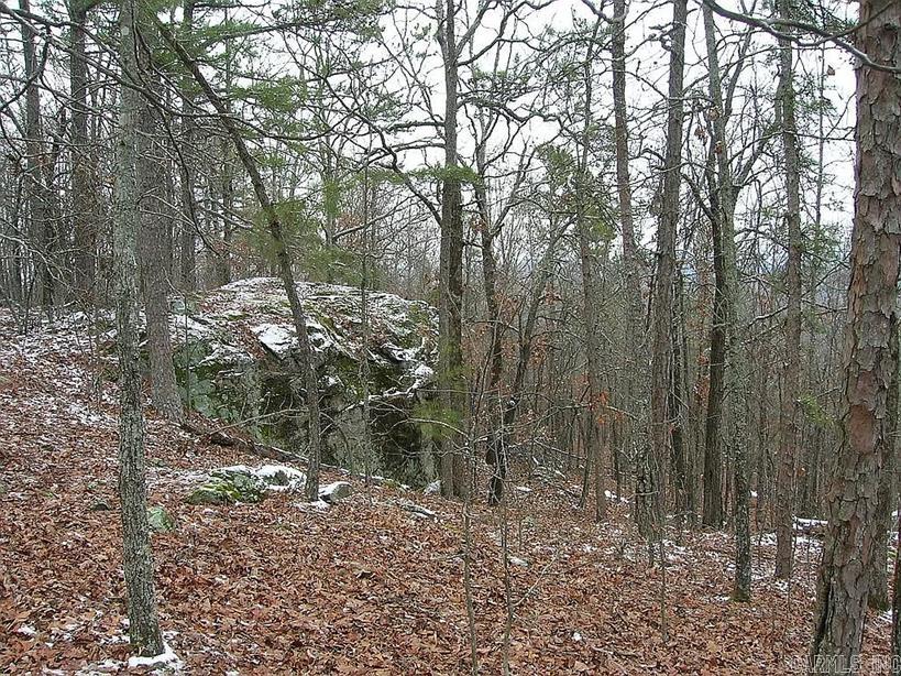 222  Ernie Woods Rd.  Rose Bud, AR