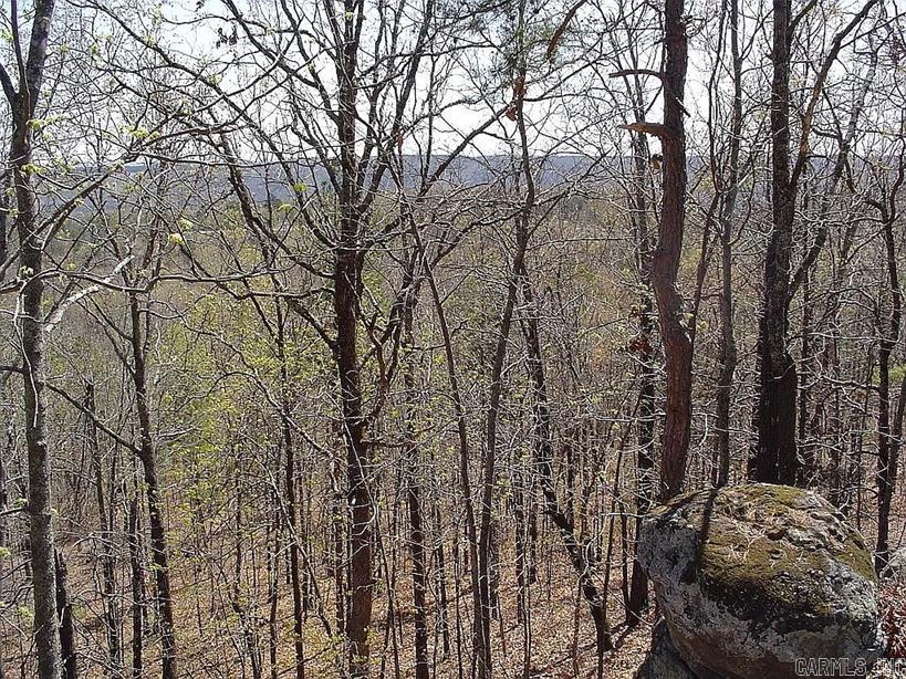 222  Ernie Woods Rd.  Rose Bud, AR