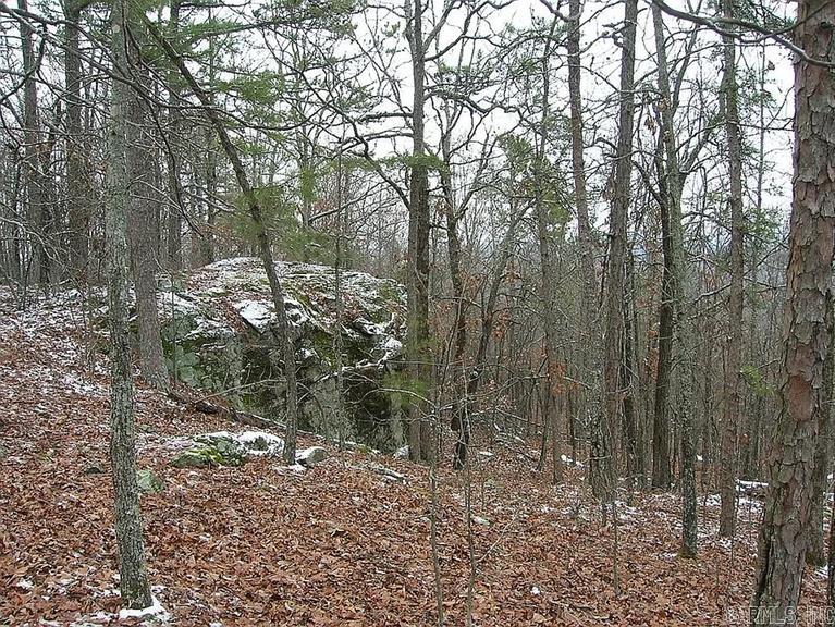 222  Ernie Woods Rd.  Rose Bud, AR