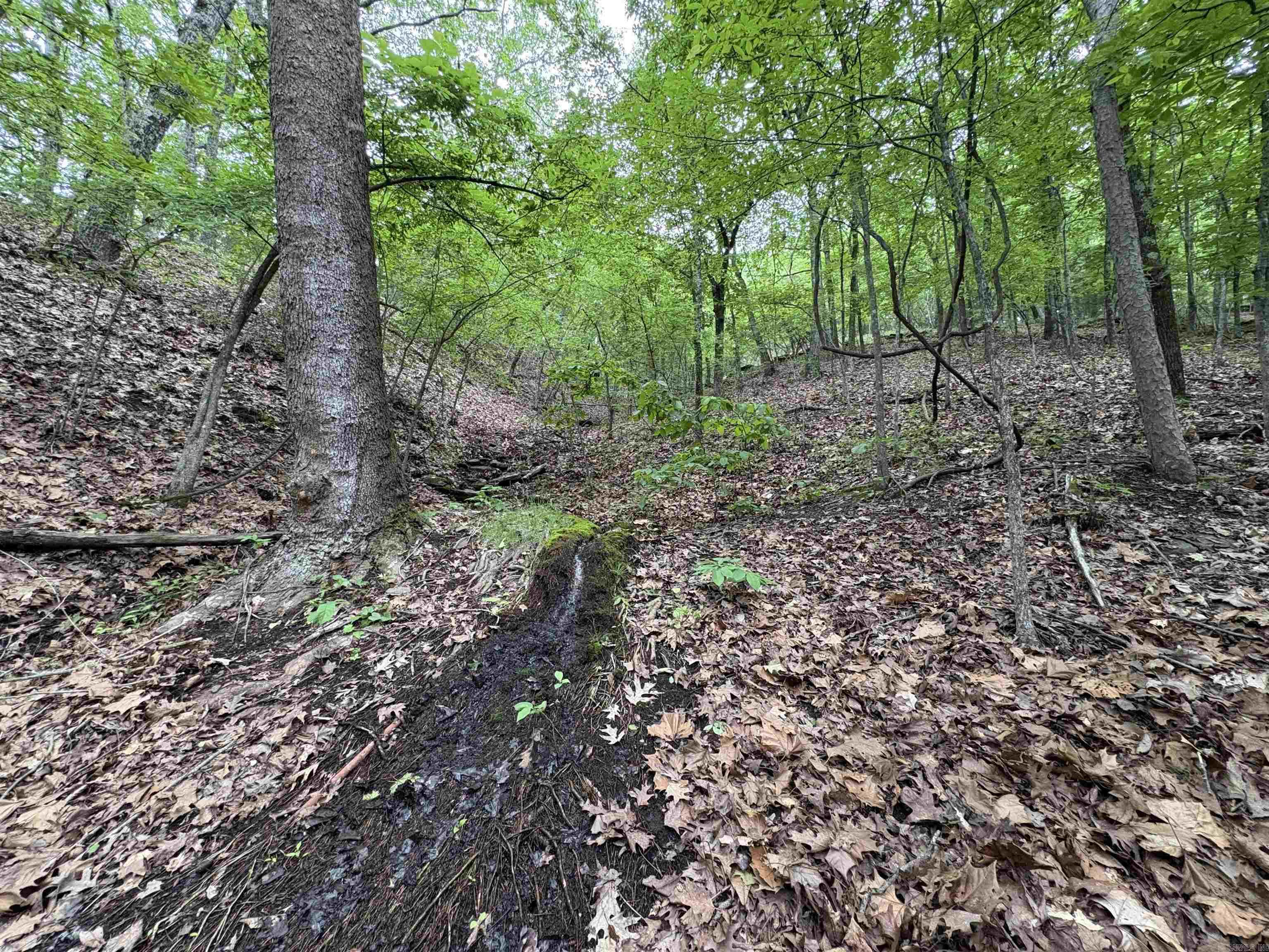 222  Ernie Woods Rd.  Rose Bud, AR
