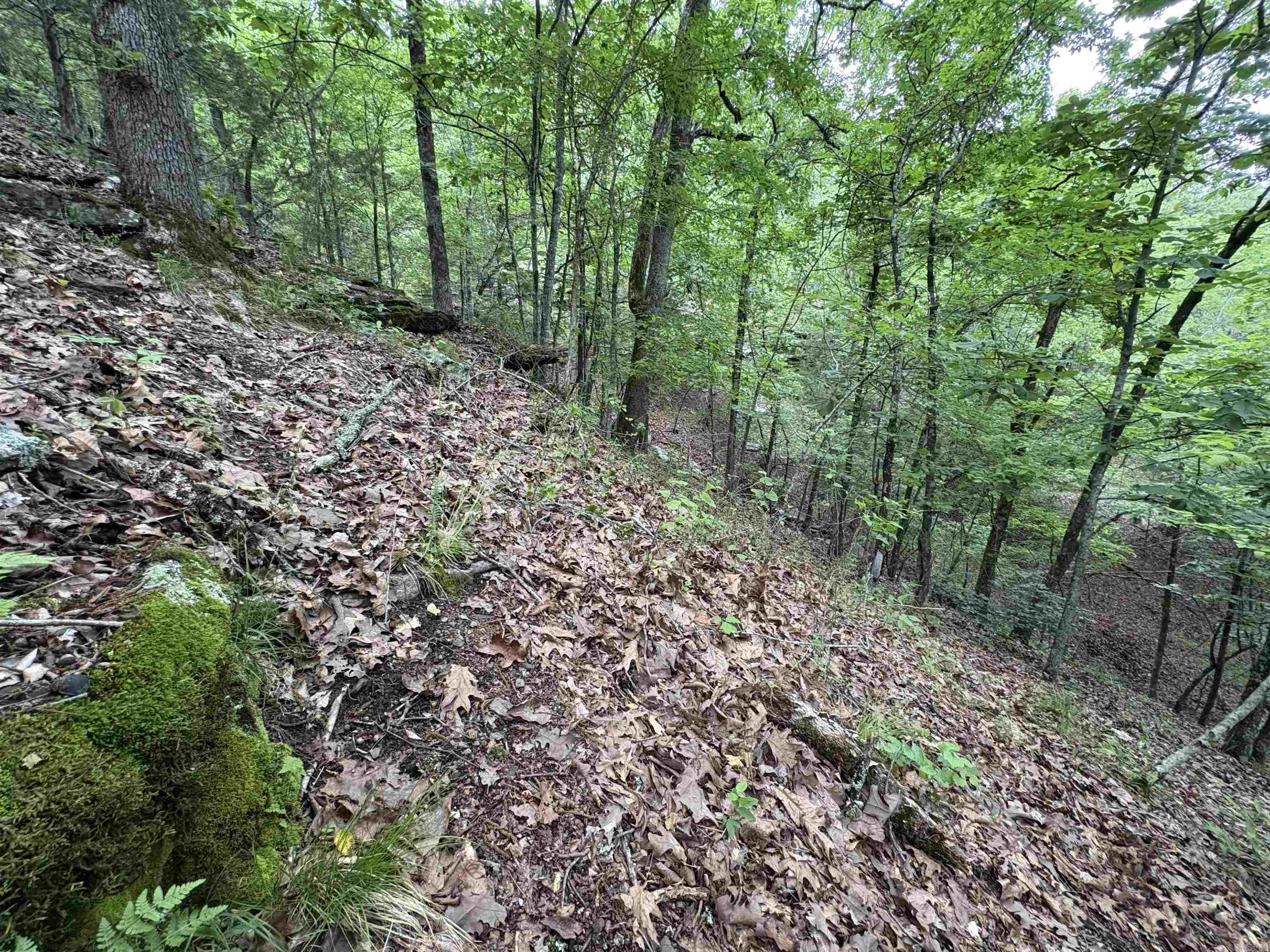 222  Ernie Woods Rd.  Rose Bud, AR