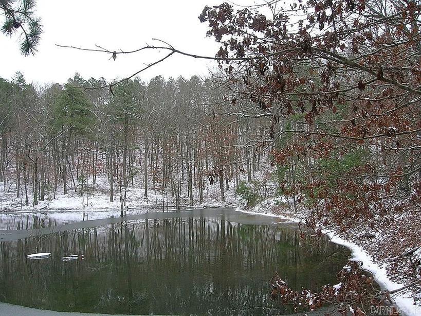 222  Ernie Woods Rd.  Rose Bud, AR