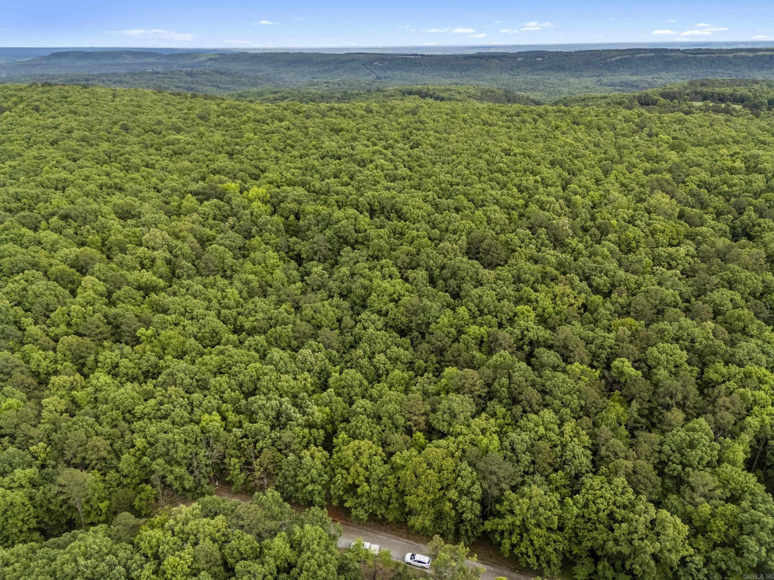 222  Ernie Woods Rd.  Rose Bud, AR