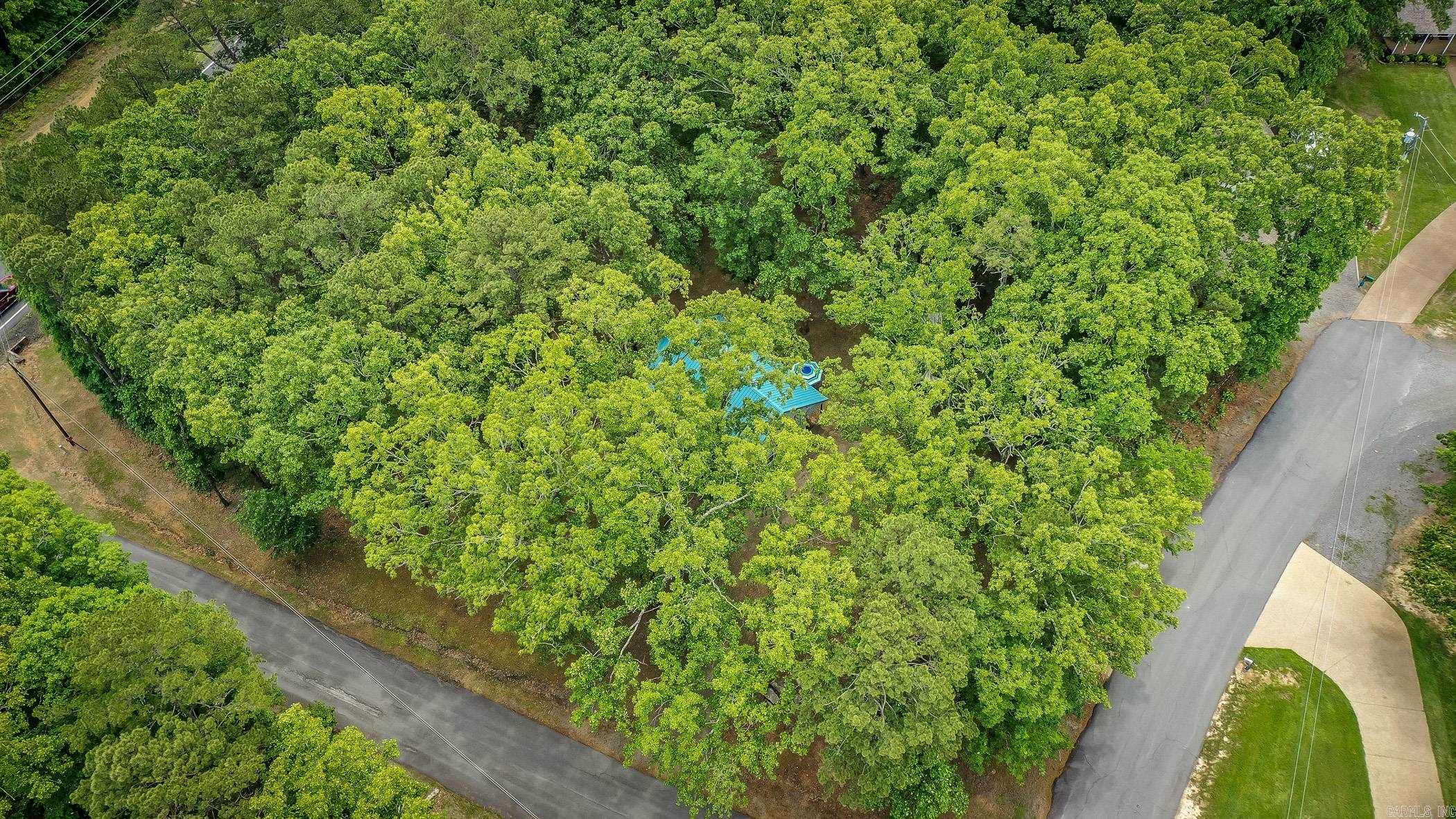 11 Heritage Hill Higden, AR 72067