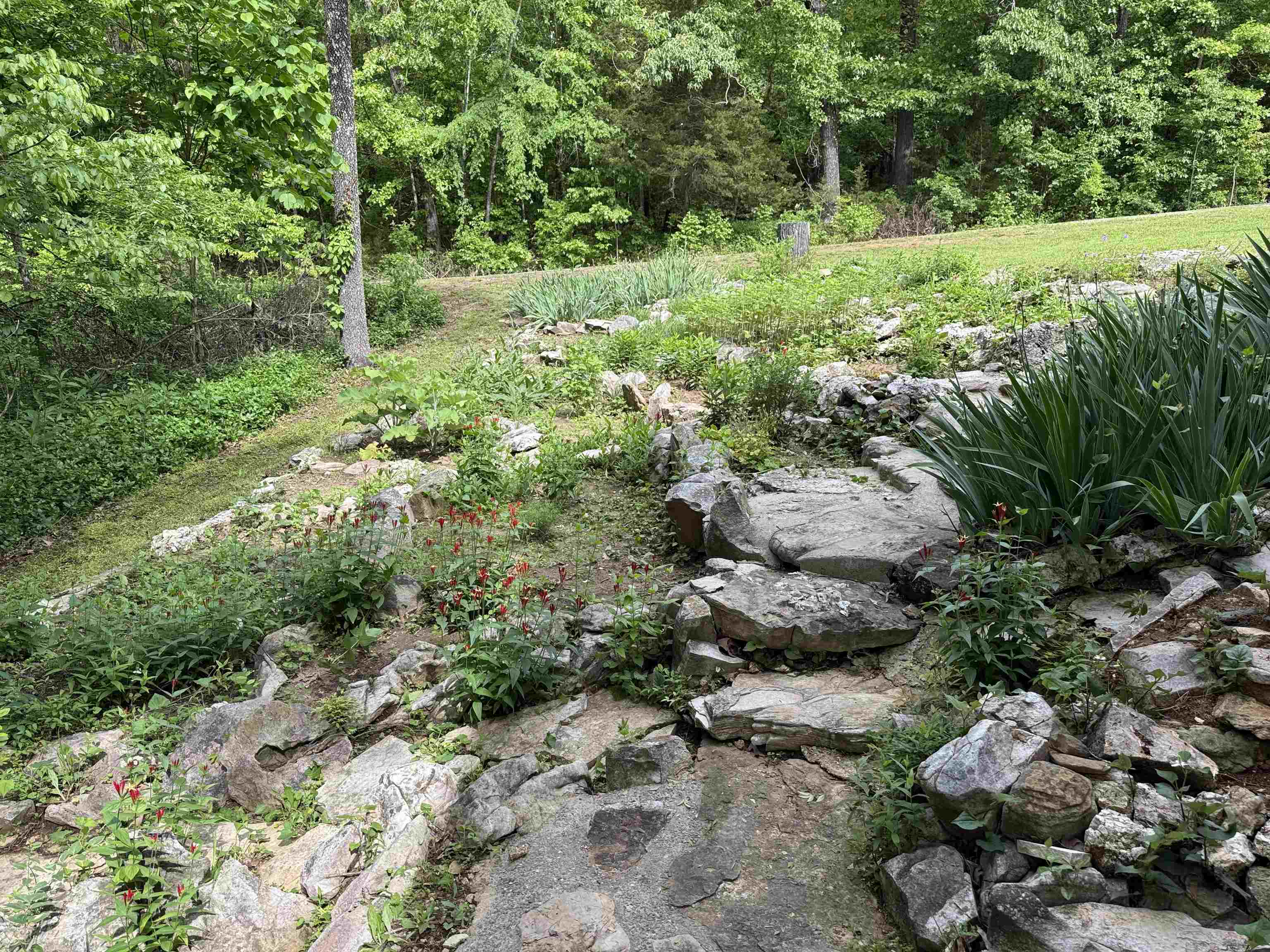 9  Mineola  Cherokee Village, AR
