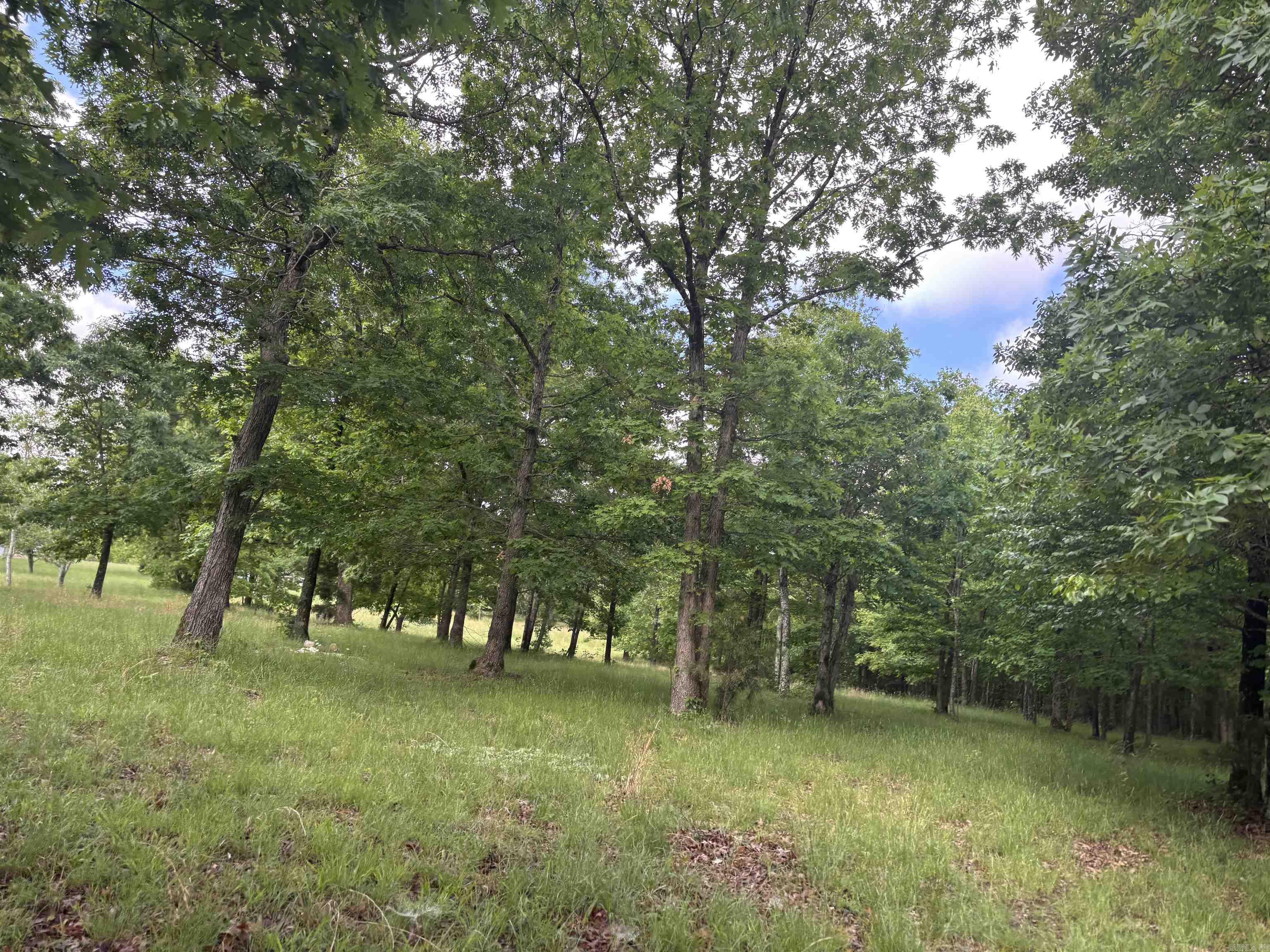 4400  Sunnyland  Mountain View, AR