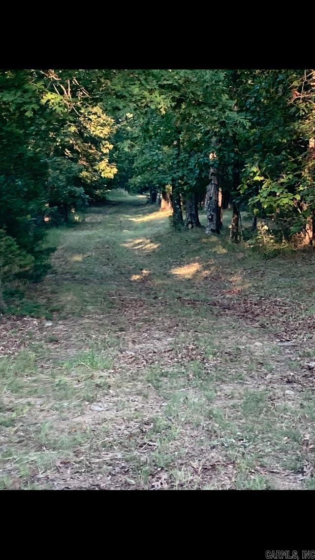 4400  Sunnyland  Mountain View, AR
