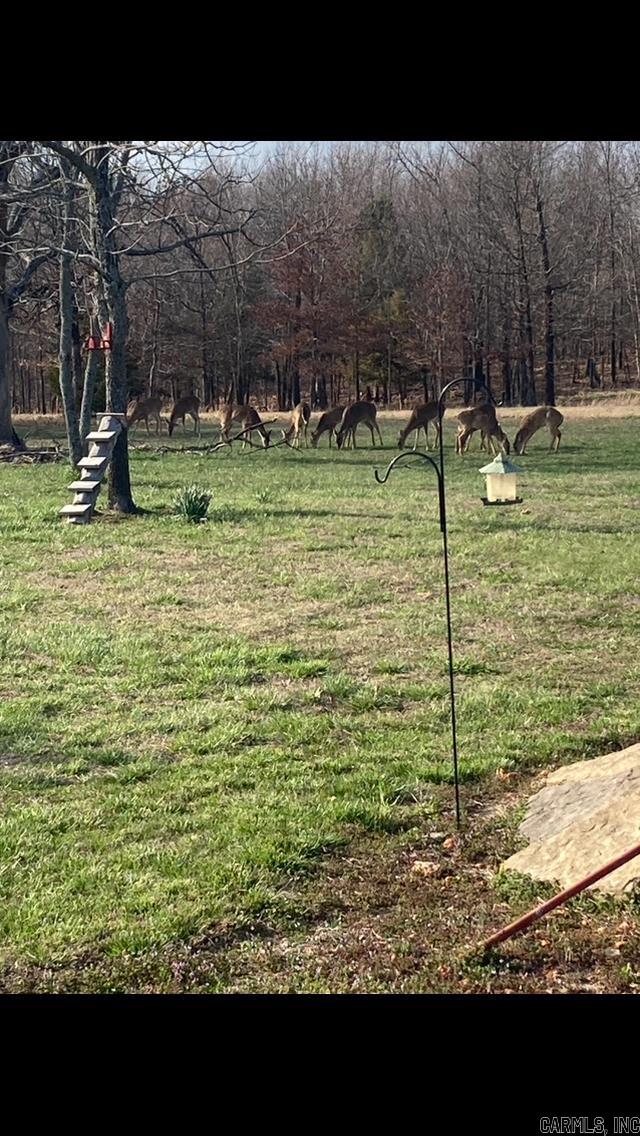 4400  Sunnyland  Mountain View, AR