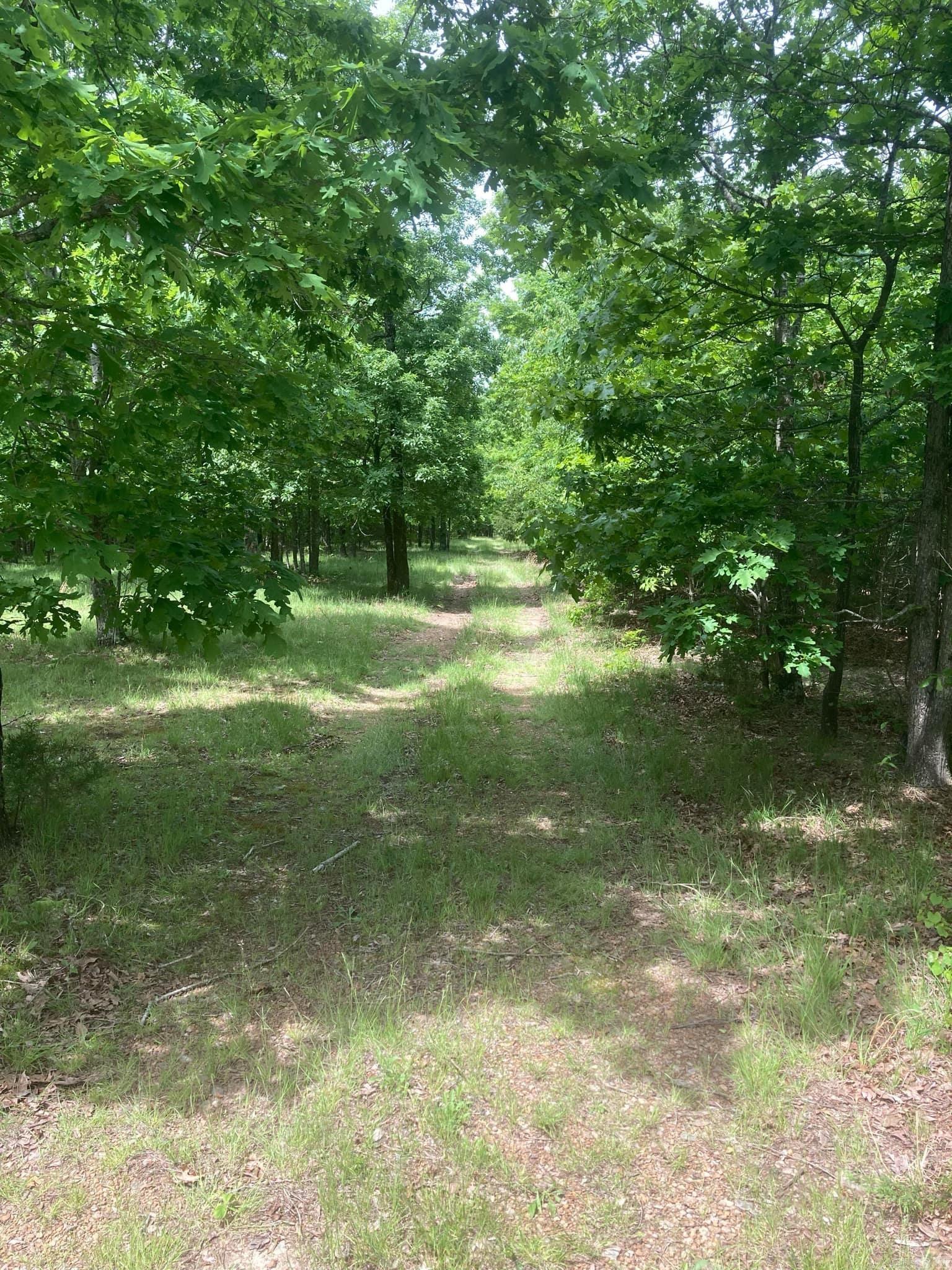 4400  Sunnyland  Mountain View, AR