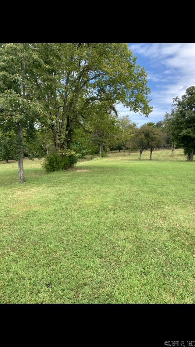 4400  Sunnyland  Mountain View, AR