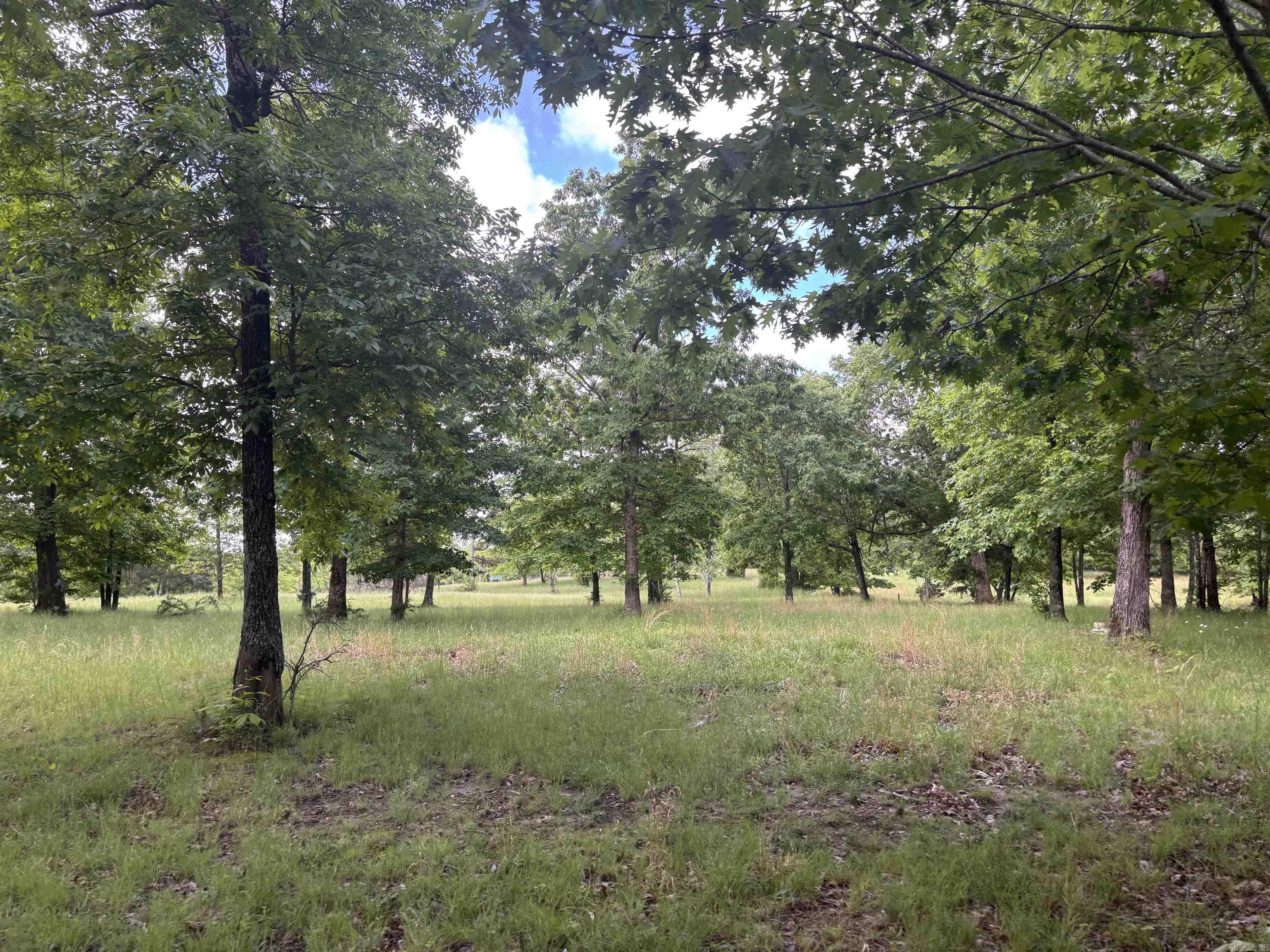 4400  Sunnyland  Mountain View, AR