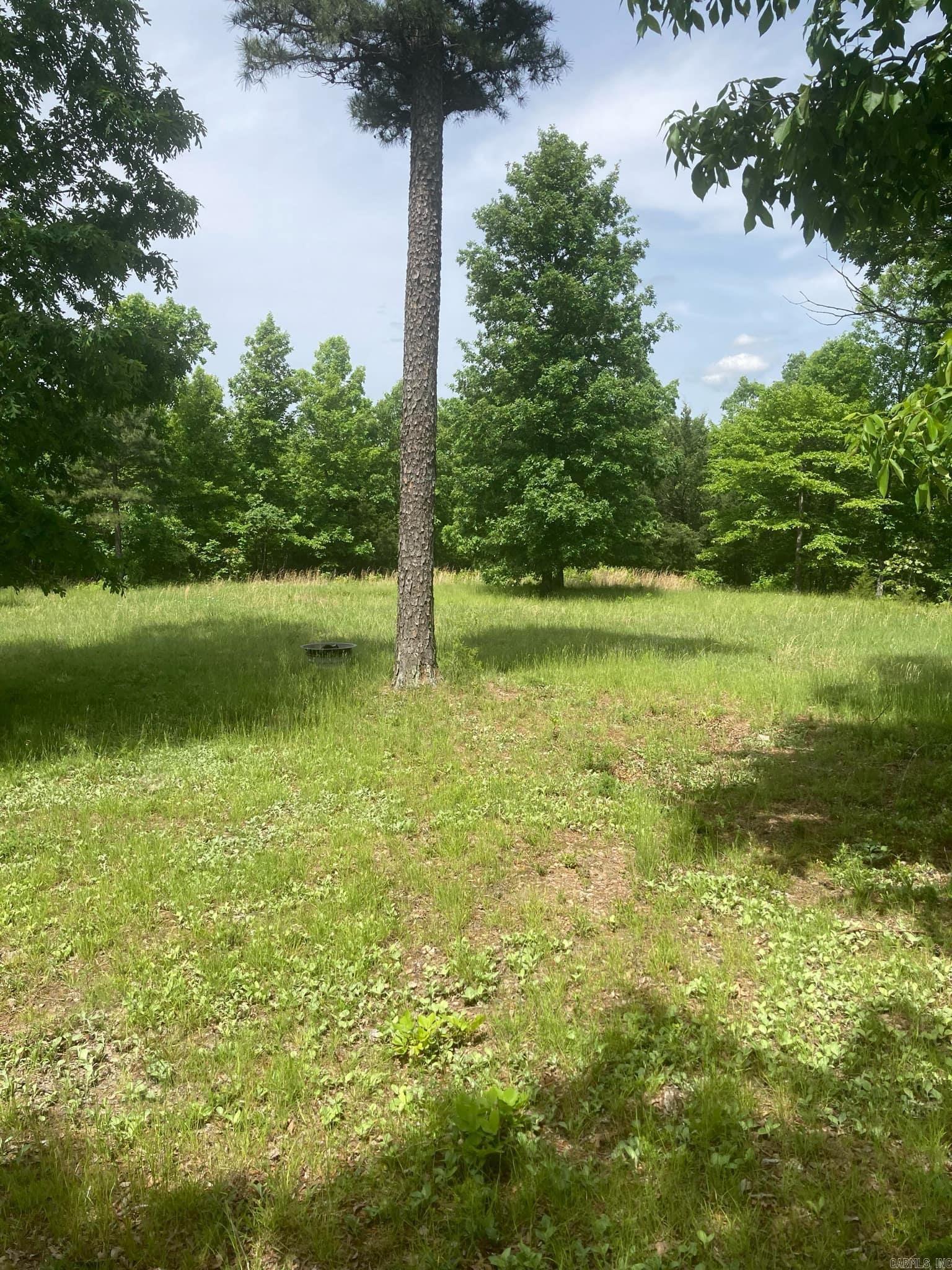 4400  Sunnyland  Mountain View, AR