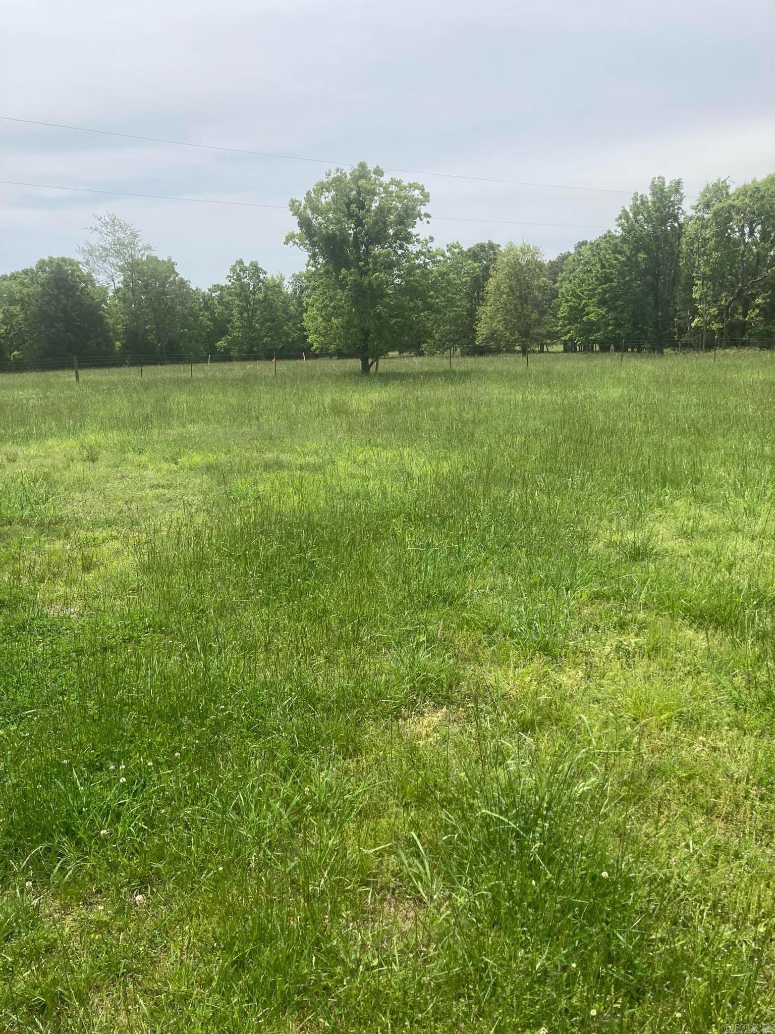 4400  Sunnyland  Mountain View, AR