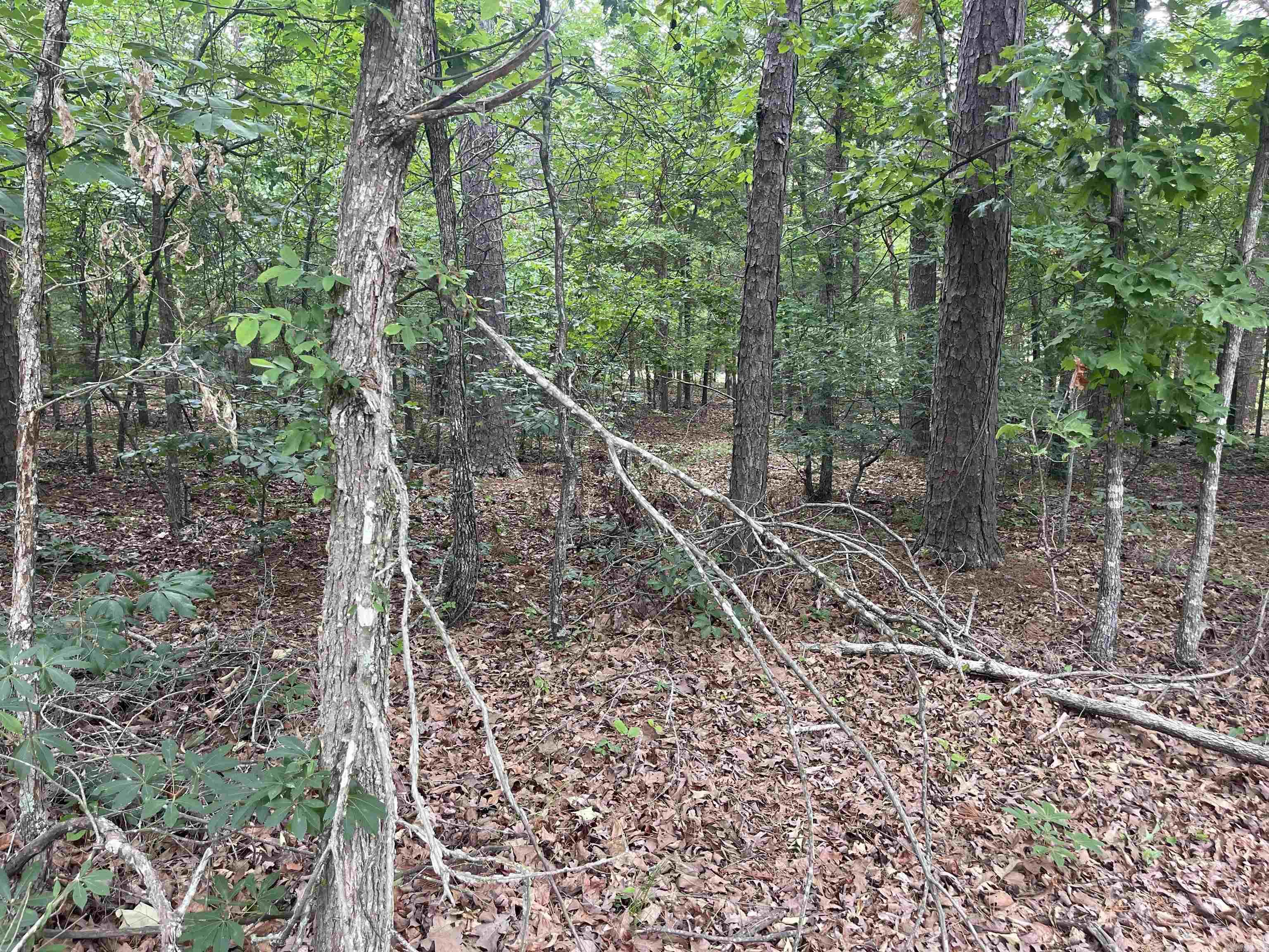 Lot 151R Grand Isle Dr. Fairfield Bay, AR 72088
