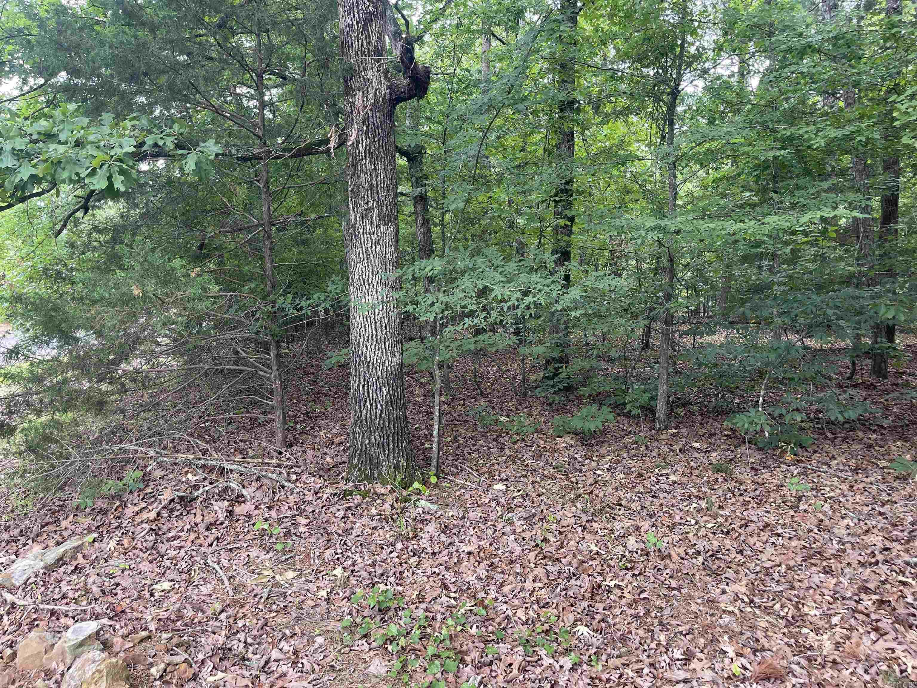 Lot 151R Grand Isle Dr. Fairfield Bay, AR 72088