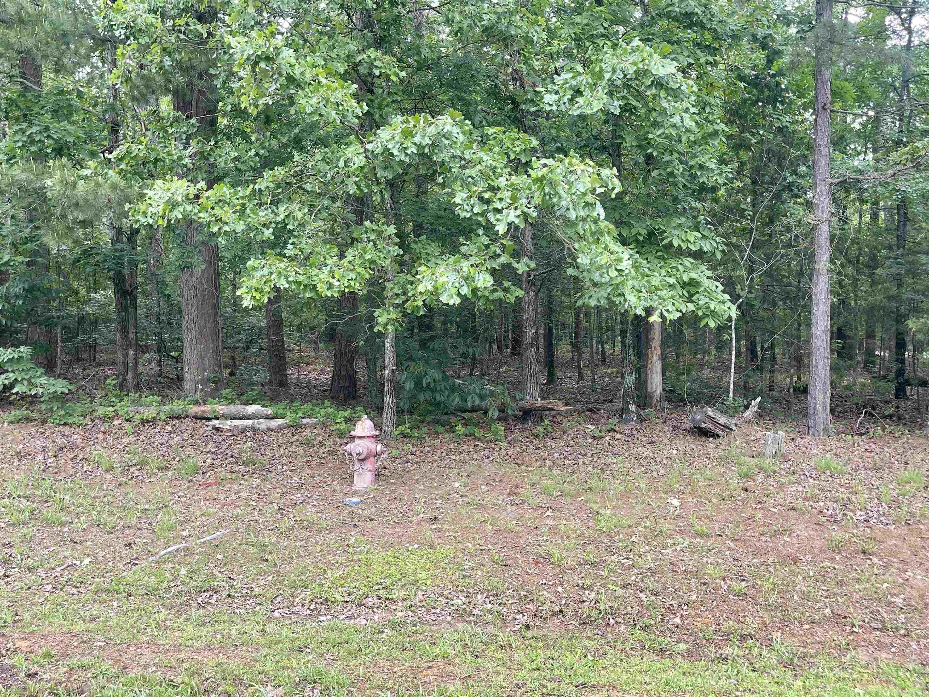 Lot 151R Grand Isle Dr. Fairfield Bay, AR 72088