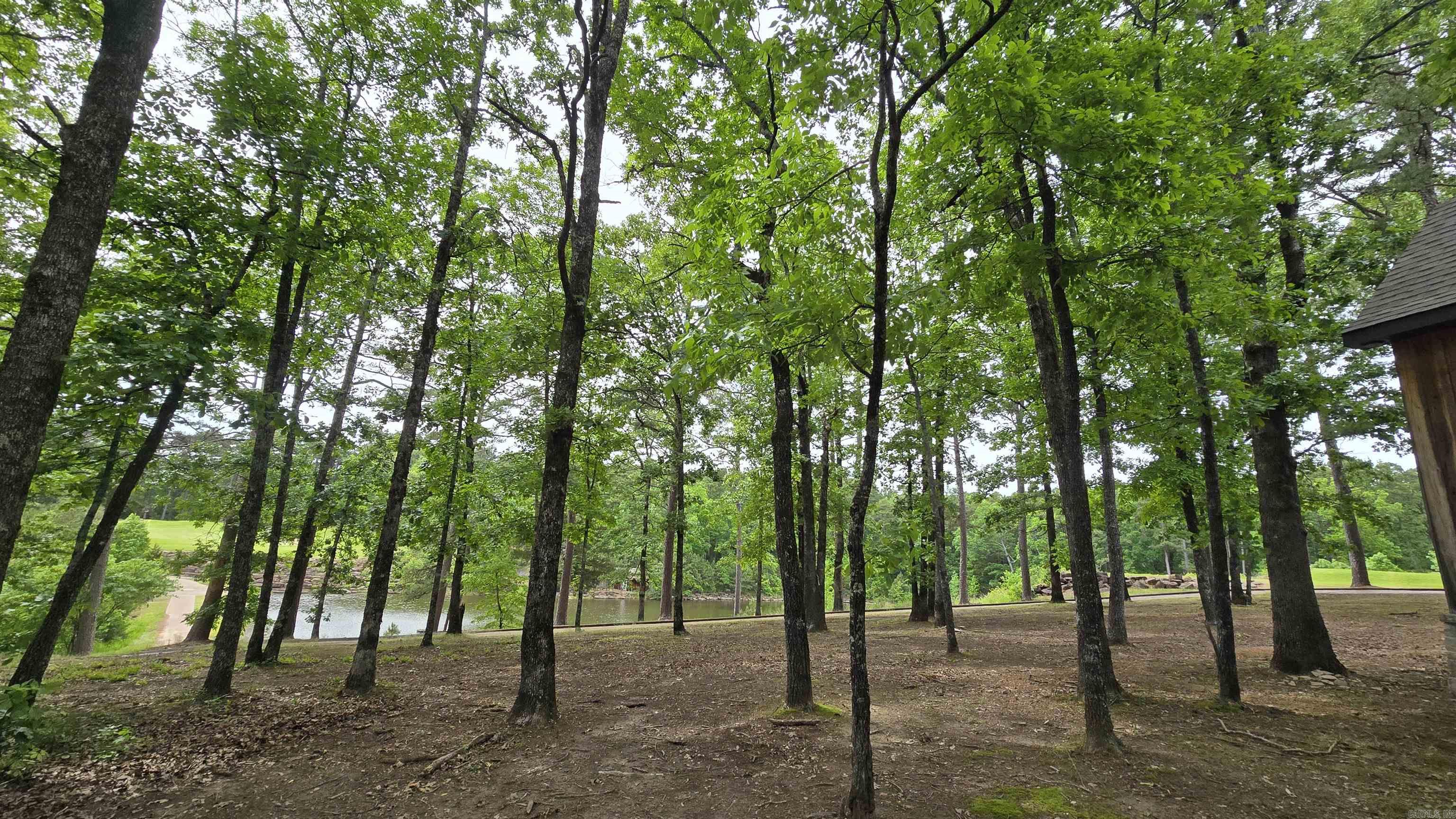 350  Kustrin Dr  Drasco, AR