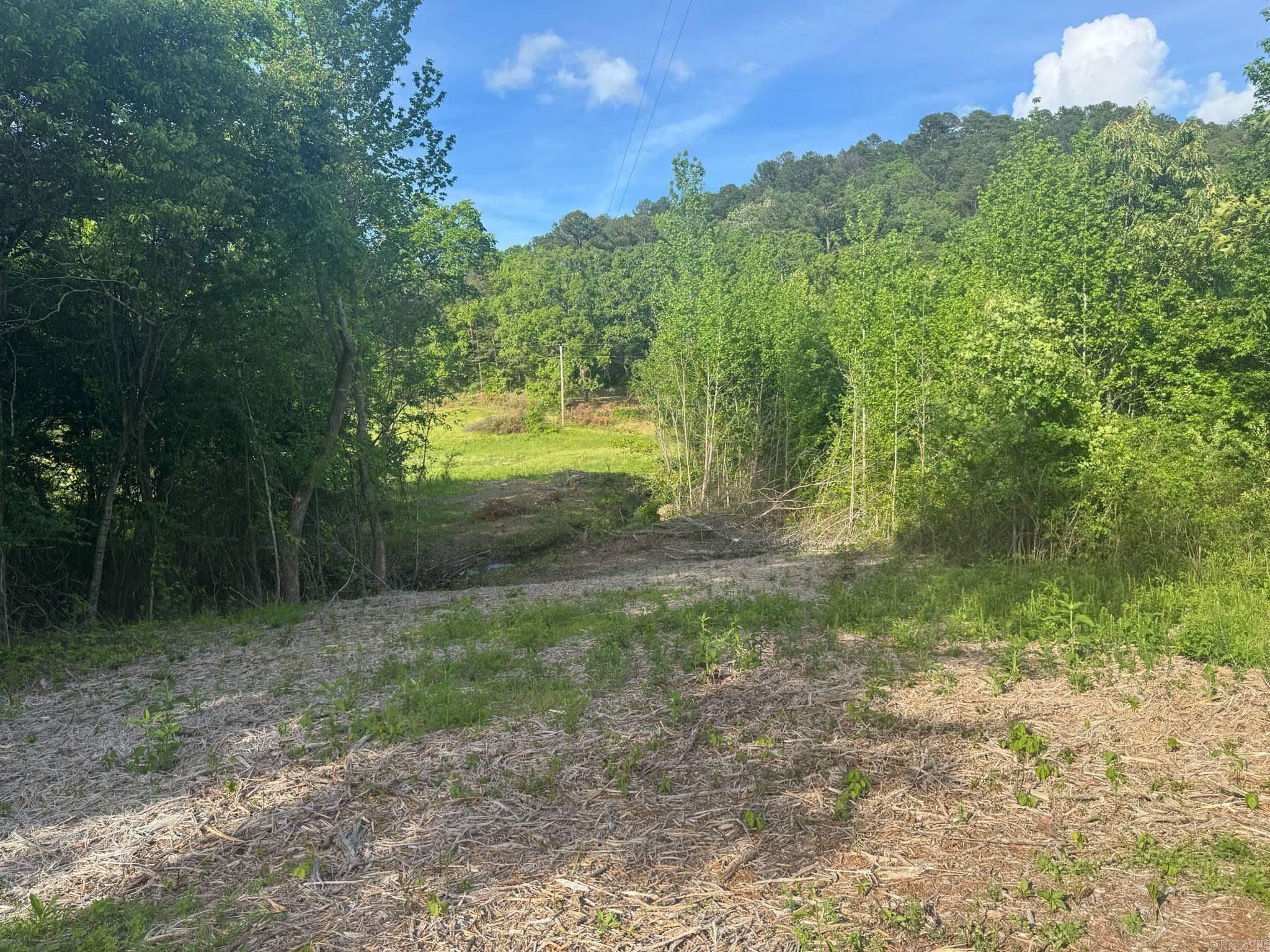 Tract 2  Jaymeson RD  Oden, AR