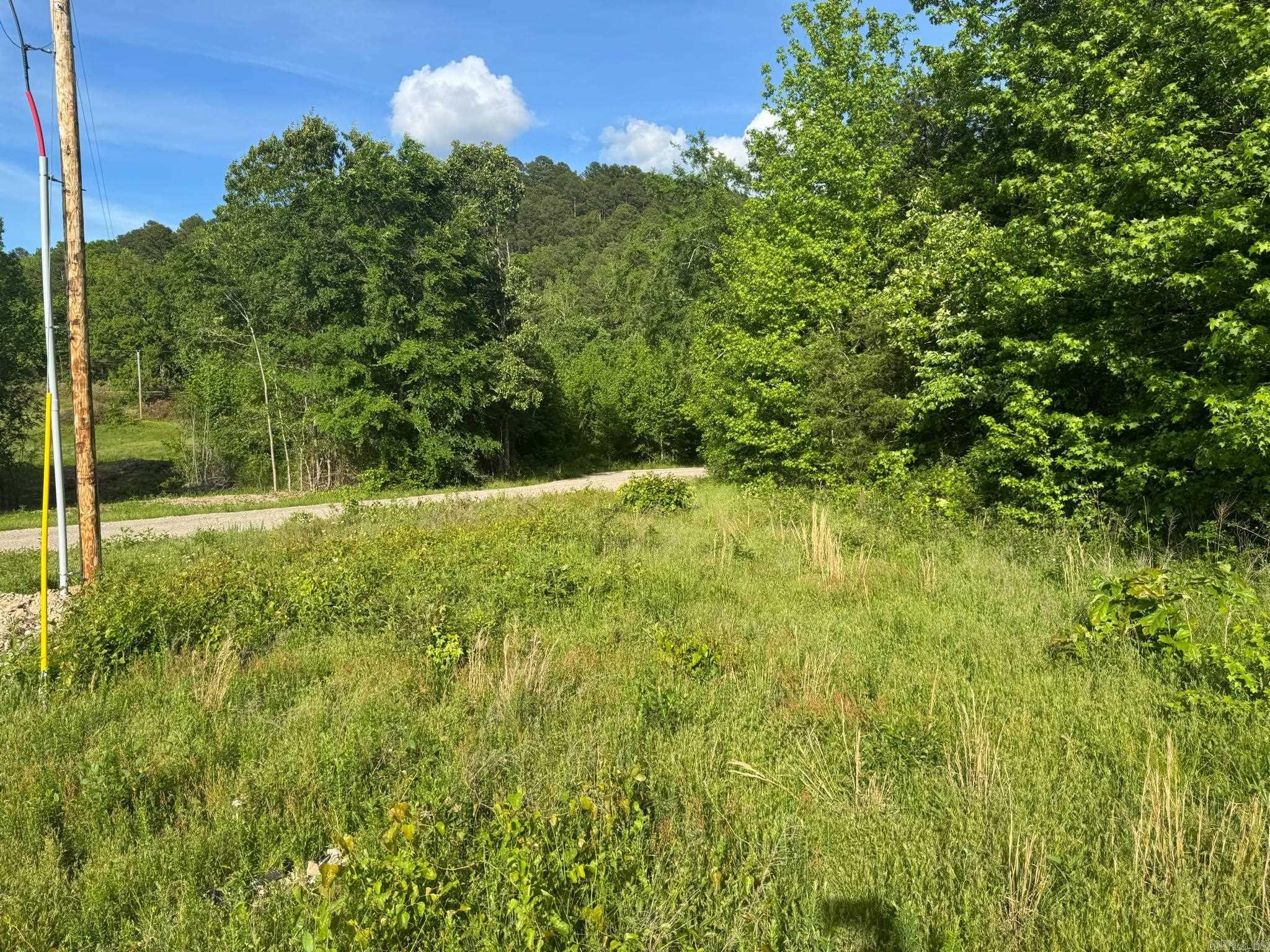 Tract 2  Jaymeson RD  Oden, AR