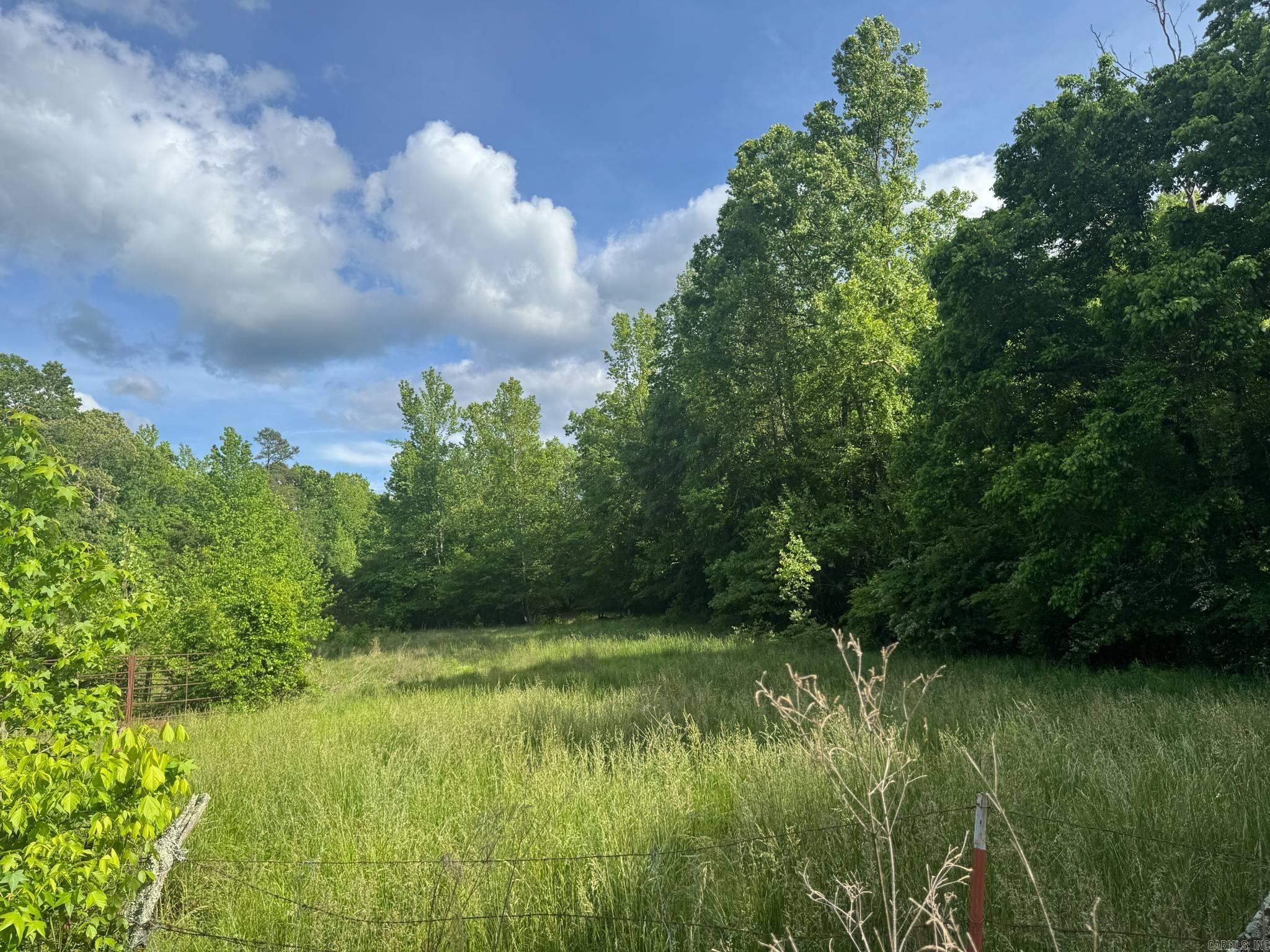 Tract 2  Jaymeson RD  Oden, AR