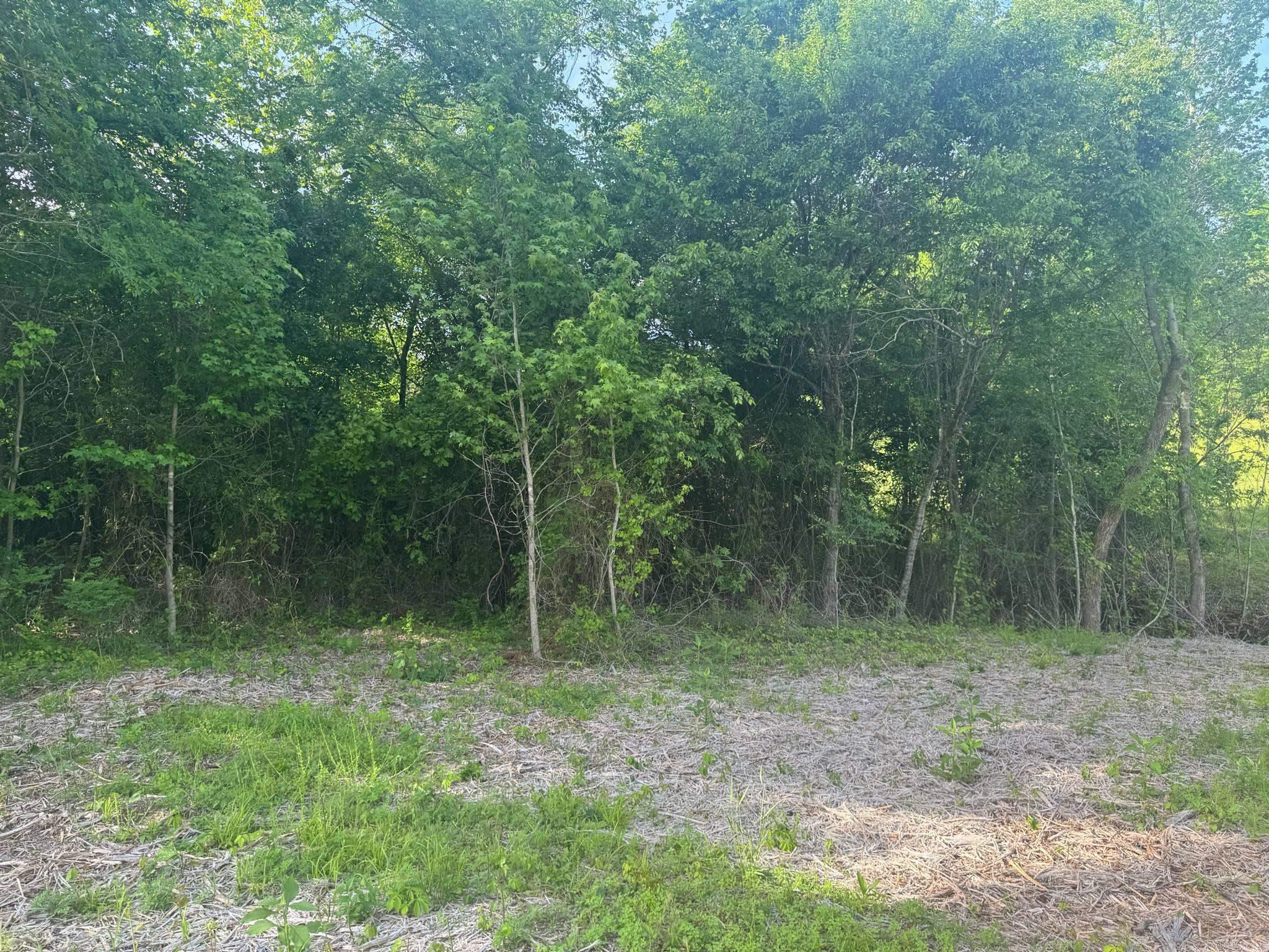 Tract 2  Jaymeson RD  Oden, AR